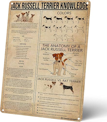 Homely Accents Póster de metal rústico de Jack Russell Terrier Knowledge, arte de pared de perro vintage, granja, perrera o decoración del hogar,