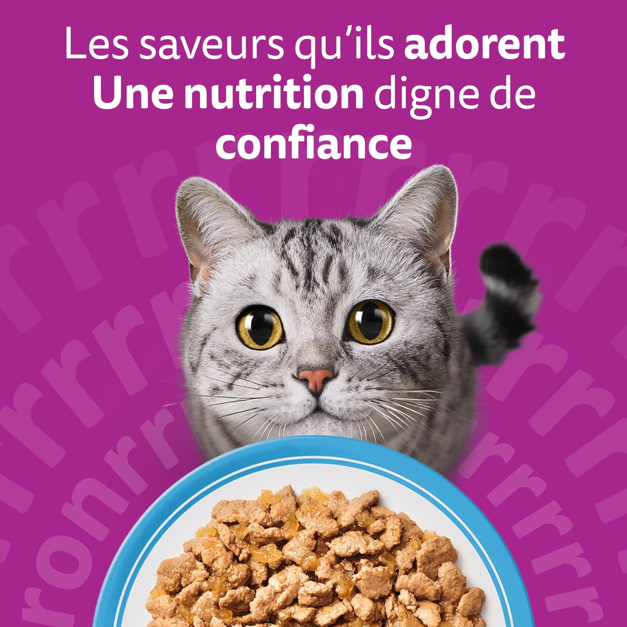 WHISKAS Aliment humide en gelée Chat adulte 24x85g Les Poissons Favoris (Lot de 2) 48 Sachets