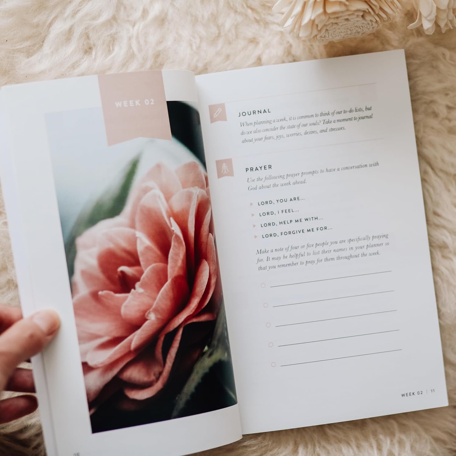 Fix Your Focus - A 52-Week Guide to Help You Put God First - Image 2