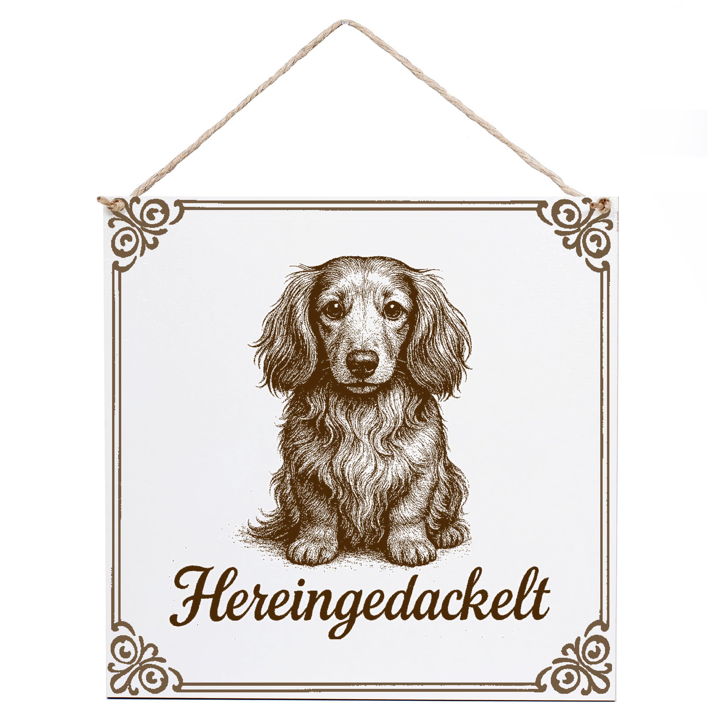 Placa de Dachshund de pelo largo salchicha dentro el regalo ideal para colgar en casa