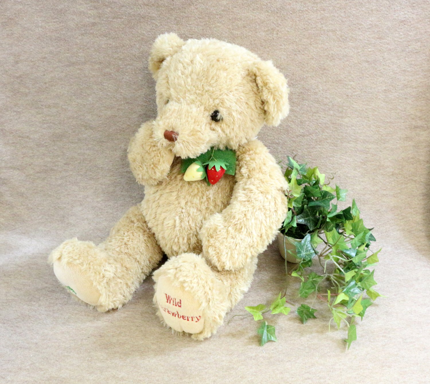 Amazon.co.jp: テイクオフ(Take-Off) ワイルドストロベリー ベアー L