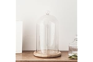 8" Glass Cloche Display Dome with Bamboo Base by Lights4fun, Inc.