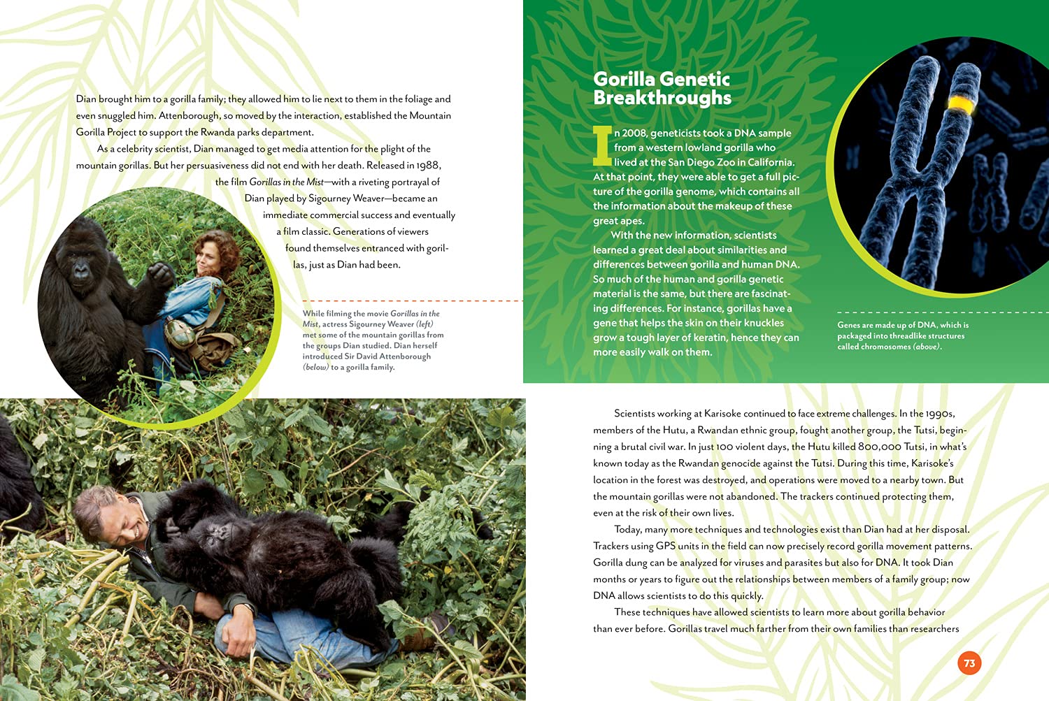 Unforgotten: The Wild Life of Dian Fossey and Her Relentless Quest to Save Mountain Gorillas