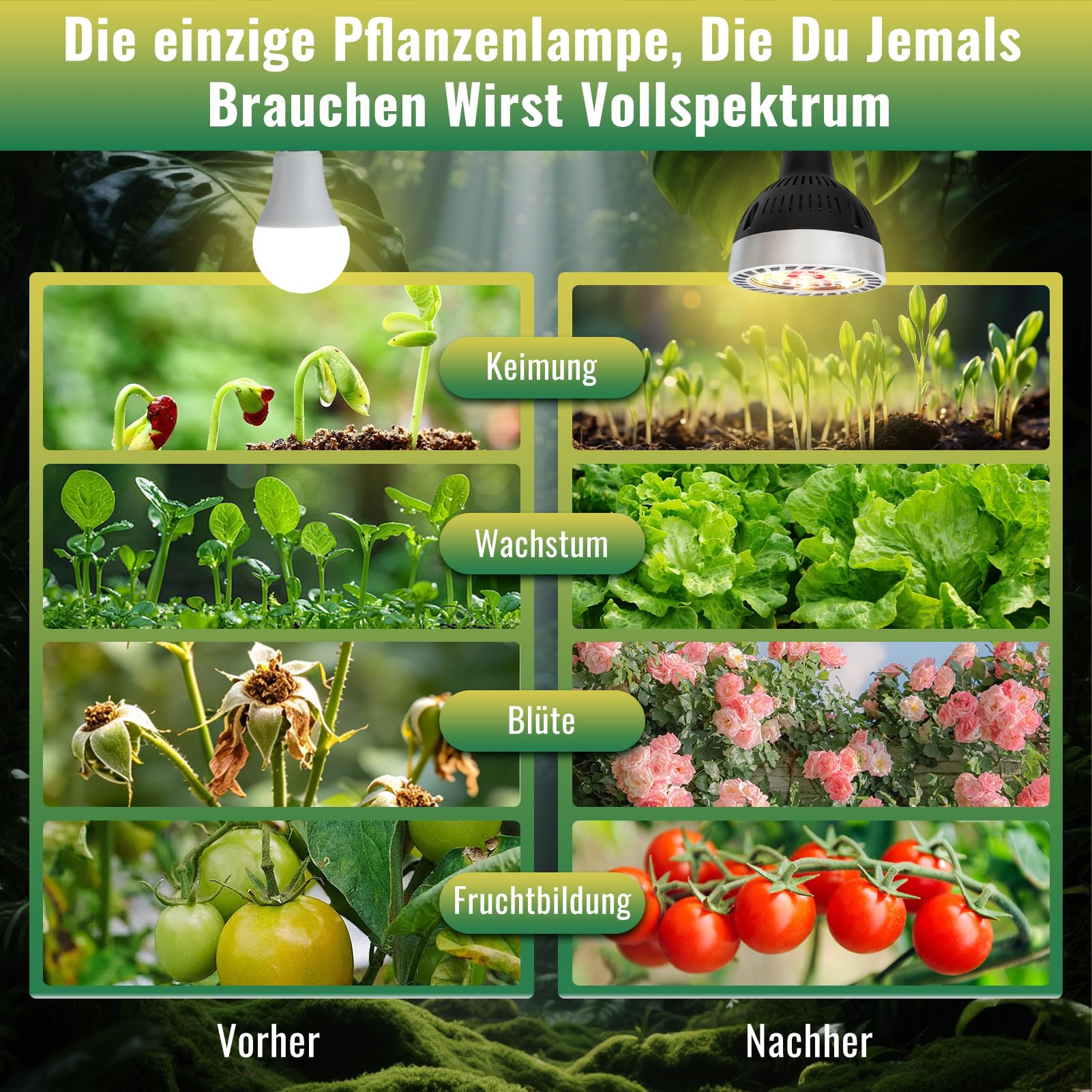 Ampoule Lampe Horticole avec Trépieds,19W Led Horticole Spectre Complet | E27 Lampe De Croissance pour Plantes,Dimmable 36 LEDs Lampe Plante Avec Minuterie 4/8/12h,pour Germination Croissance