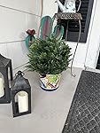 Review Image by Amazon Customer