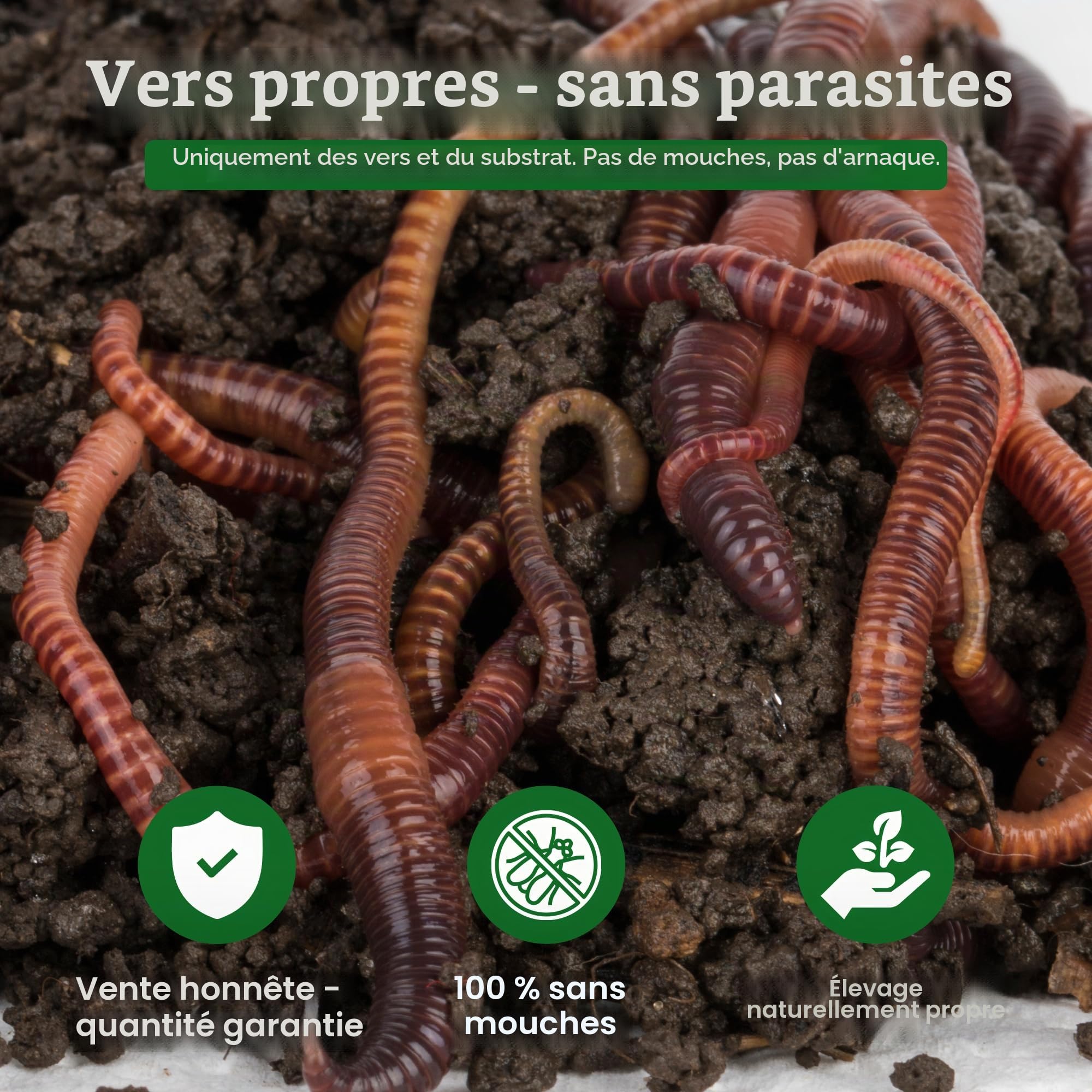 0,5 kg compost worms (min. 500 pieces) garden earth
