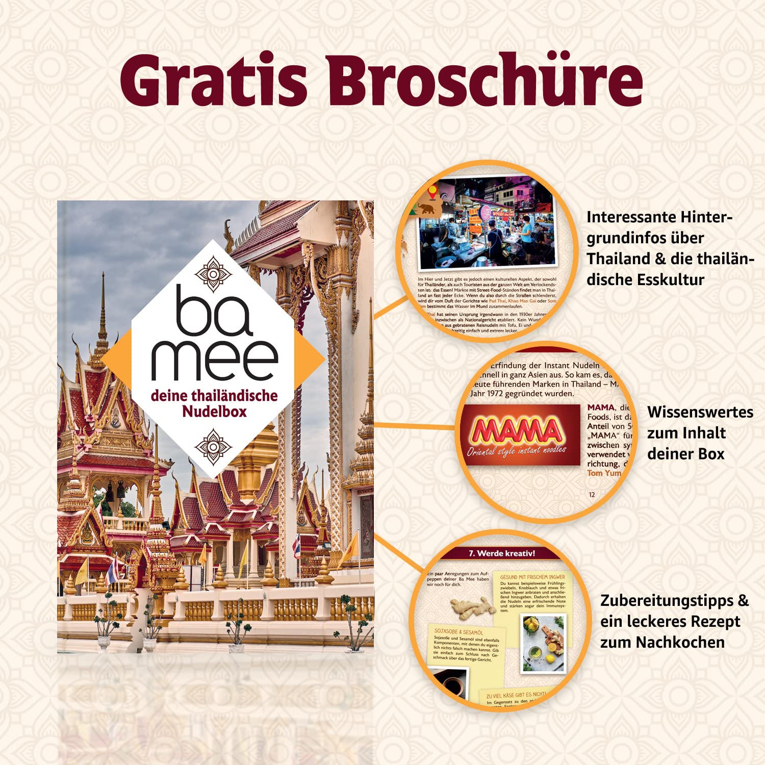 Entdecke den Ba-Mee Box: 30 köstliche MAMA Nudelsuppen aus Thailand!