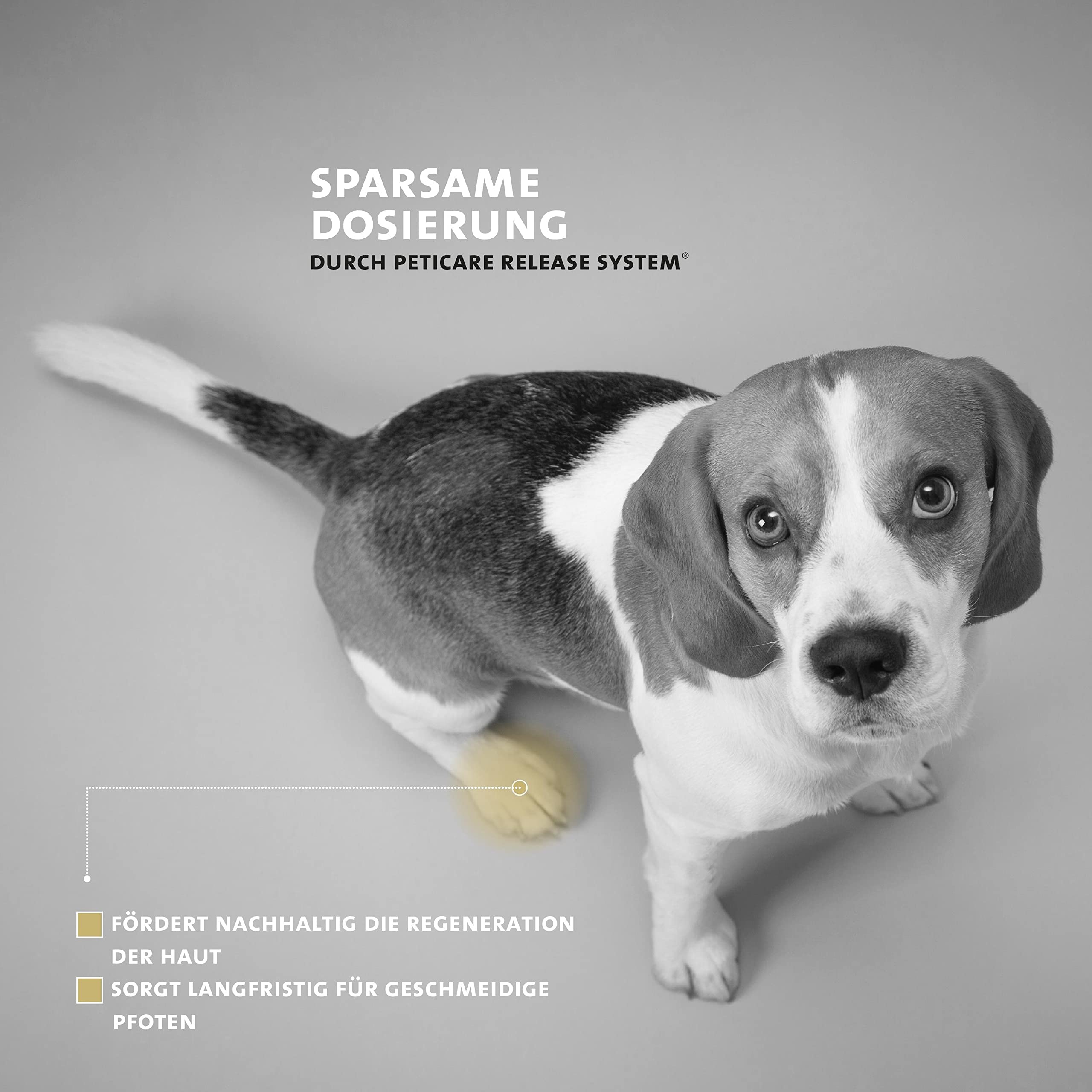 Peticare Natürlicher Pfoten-Balsam für Hunde | Pflegt & schützt rissige, verhärtete, trockene Pfoten | bei Boden-Hitze, Streusalz | einzigartiges PRS® System für Lange Wirkung – petDog Care 2103
