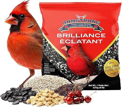 Armstrong Wild Bird Food Royal Jubilee Brilliance - Mezcla de semillas de pájaros para cardenales del norte, 4 libras