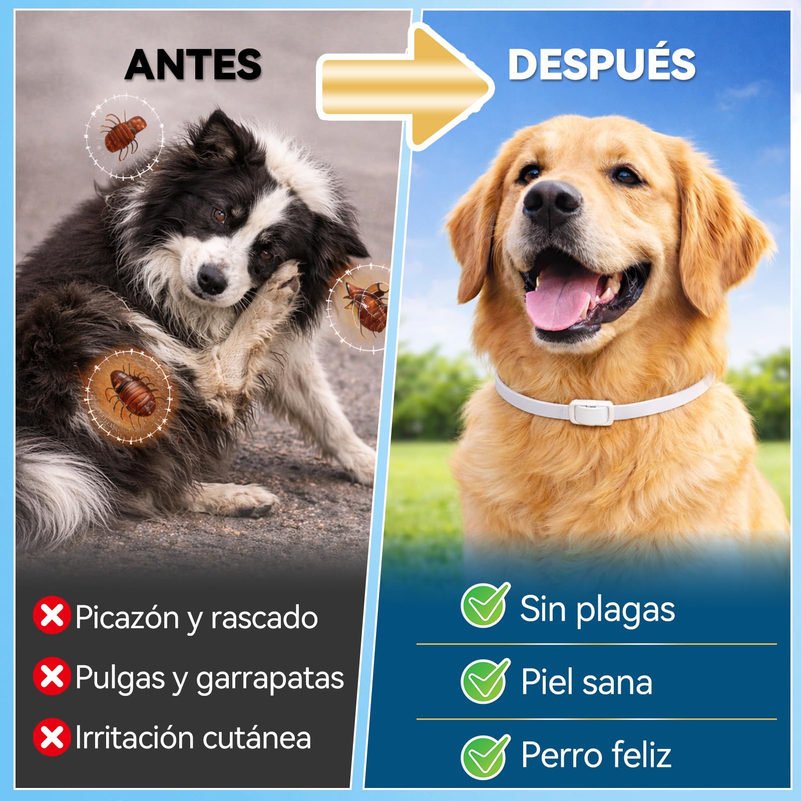 Halldeli Collar Antiparasitario para Perros 65 cm – Protección contra Pulgas, Garrapatas e Insectos hasta 12 Meses – para Perros de Todos los tamaños – Impermeable y Ajustable — view 3
