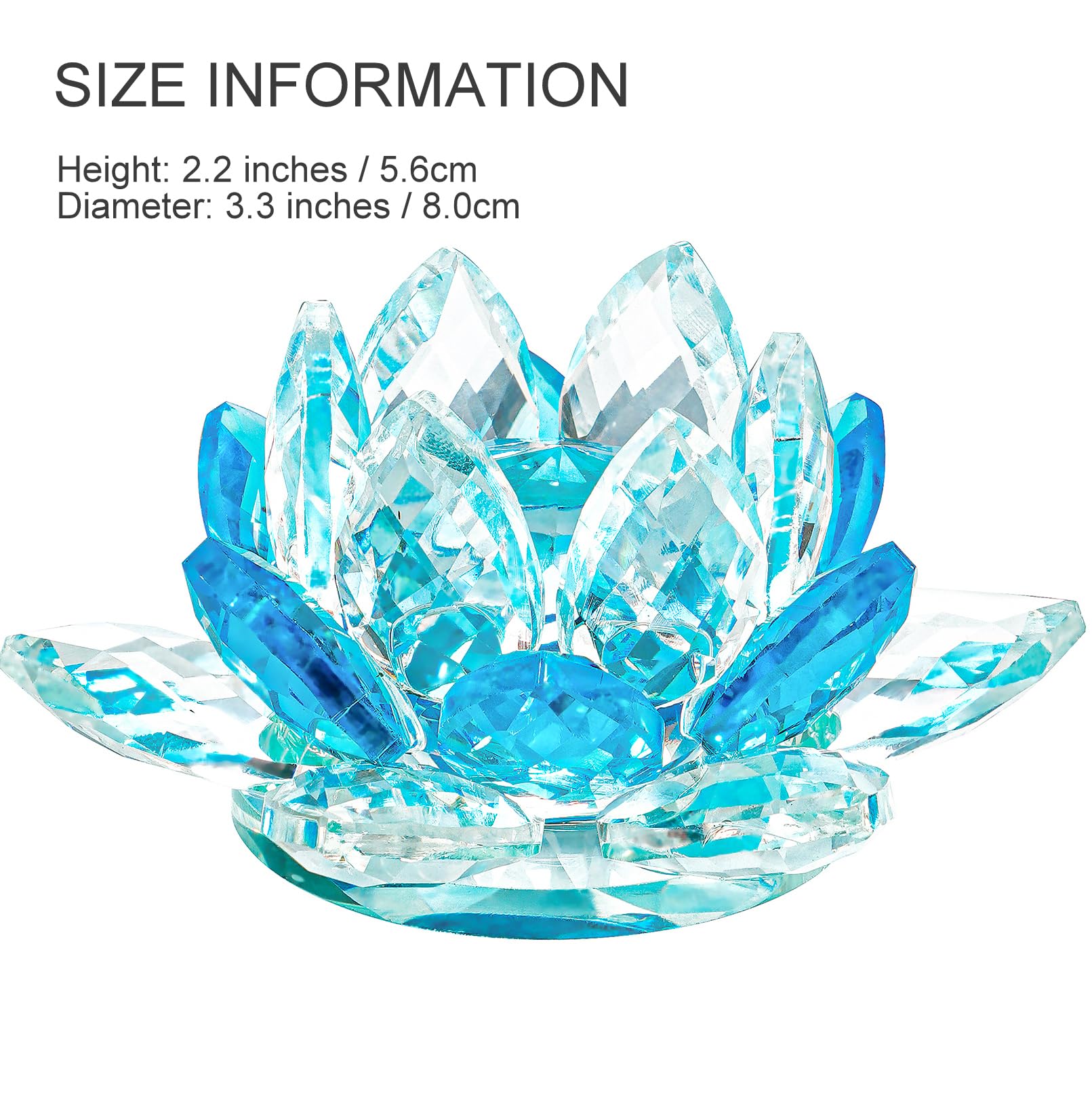 Amazon.com: TENGFENG Crystal Lotus Flower Bicolor - Hue Reflection