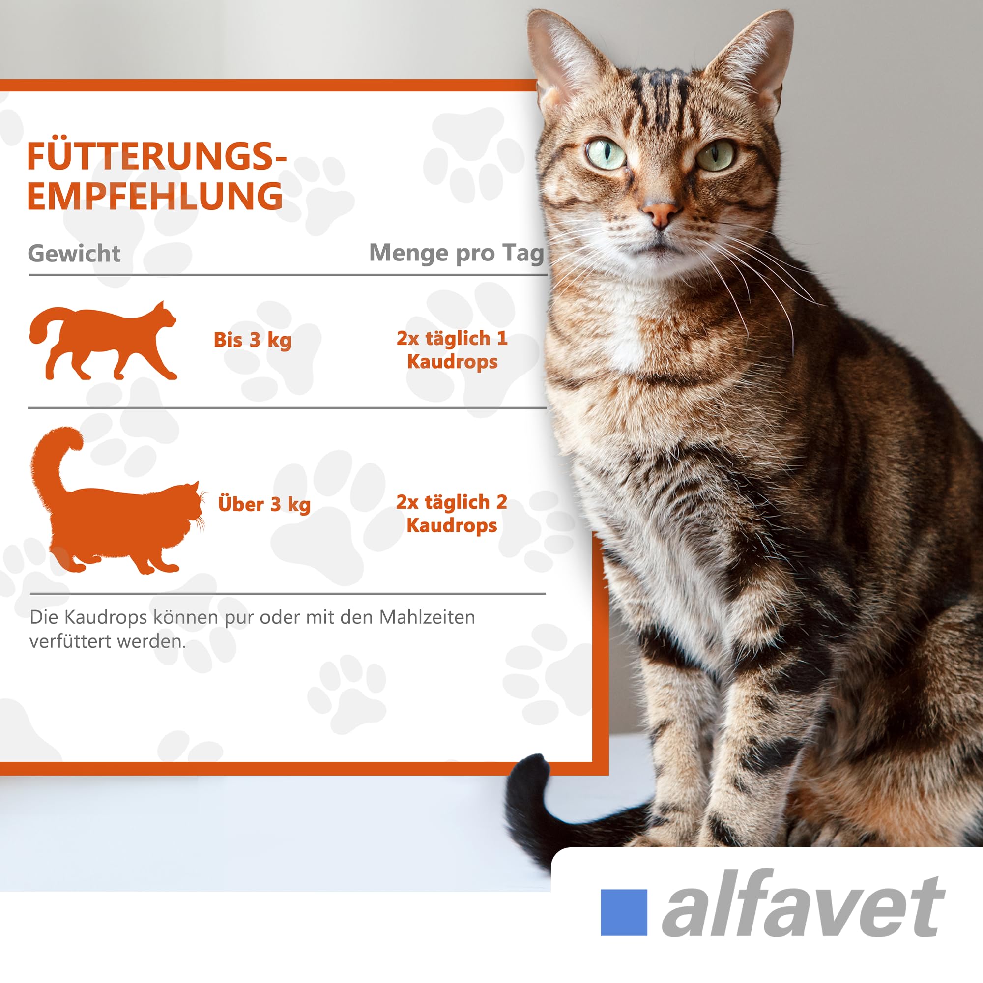 alfavet FeliGum Dia, complément Alimentaire en Cas de diarrhée pour Chats, Troubles de la résorption intestinale, pastilles à mâcher, Sachet de 40 g