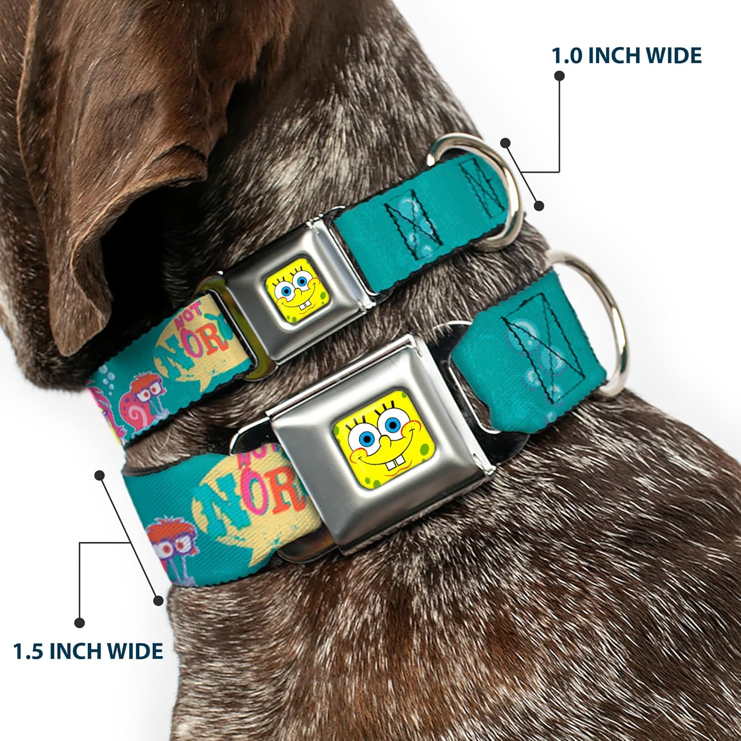 Buckle-Down Seatbelt Buckle Dog Collar - Patrick, SpongeBob & Gary NOT NORMAL Aqua - 1" Wide - Fits 15-26" Neck - Large
