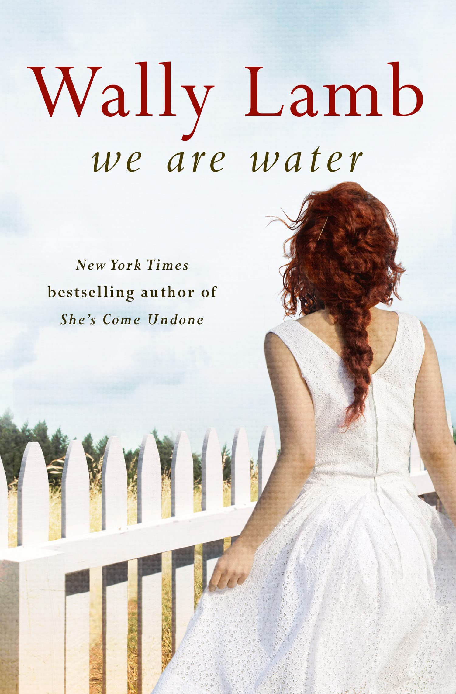 We Are Water: A Compelling Drama of Marriage and Secrets Set in Three Rivers Connecticut