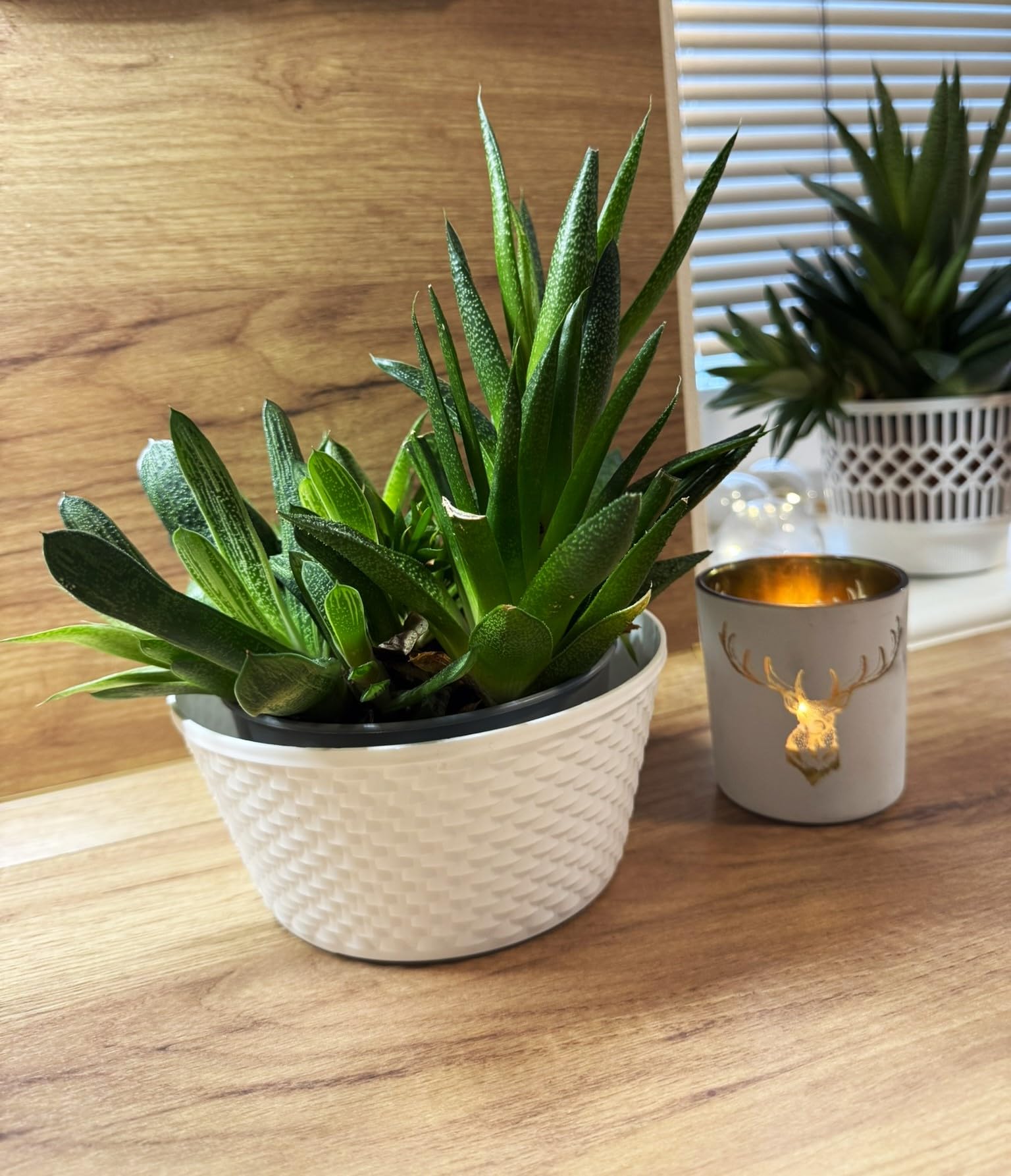 Kimmel Pack of 3 Flower Arrangement Plant Bowls, White, 12cm
