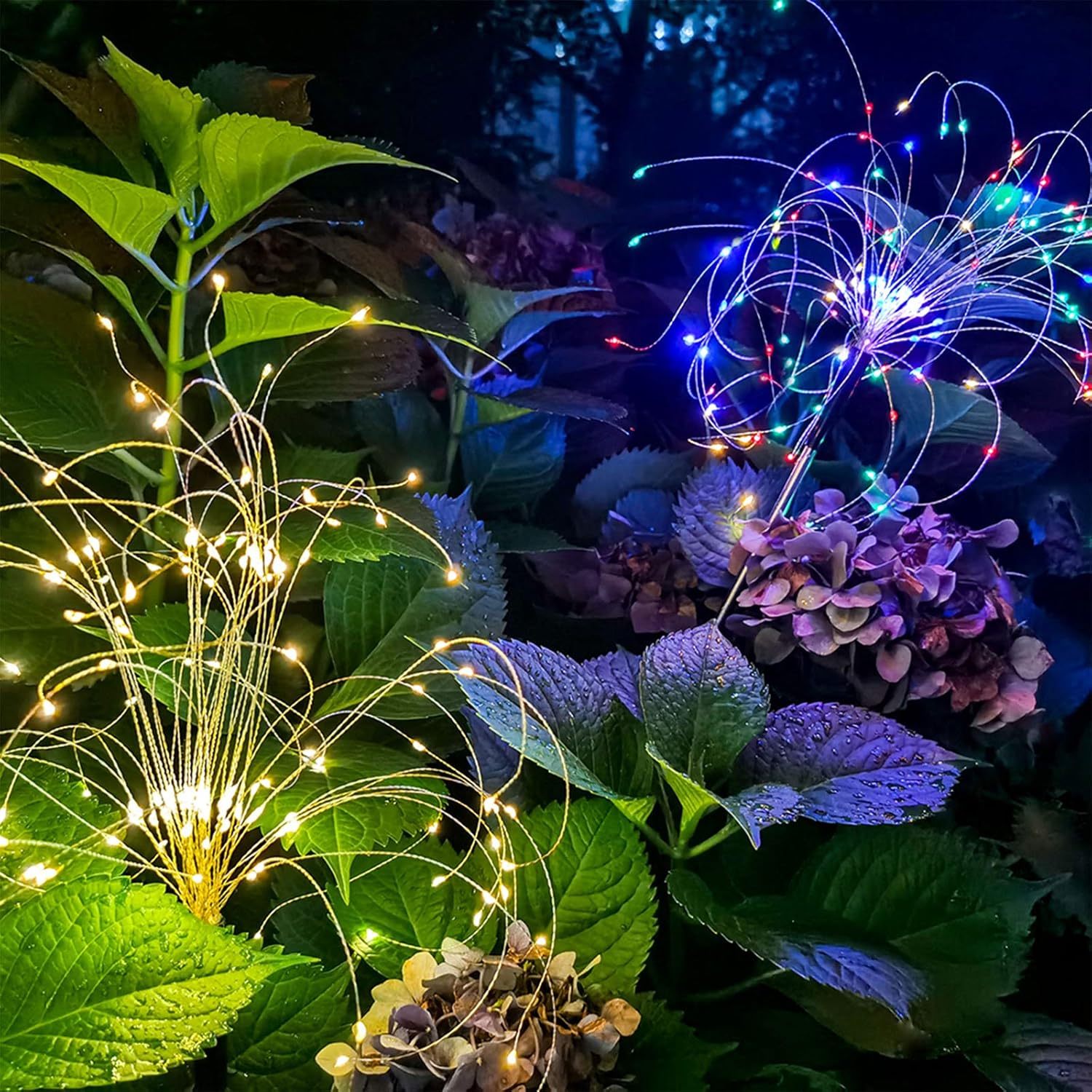 Foto del testimonio de Rocío Medina