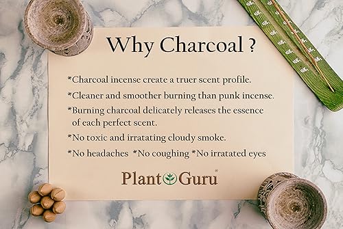 Miniatura 3 de Conos de incienso de carbón de vainilla de 1 pulgada TOPFLOW  Paquete de 100  Conos perfumados naturales hechos a mano sumergidos a mano