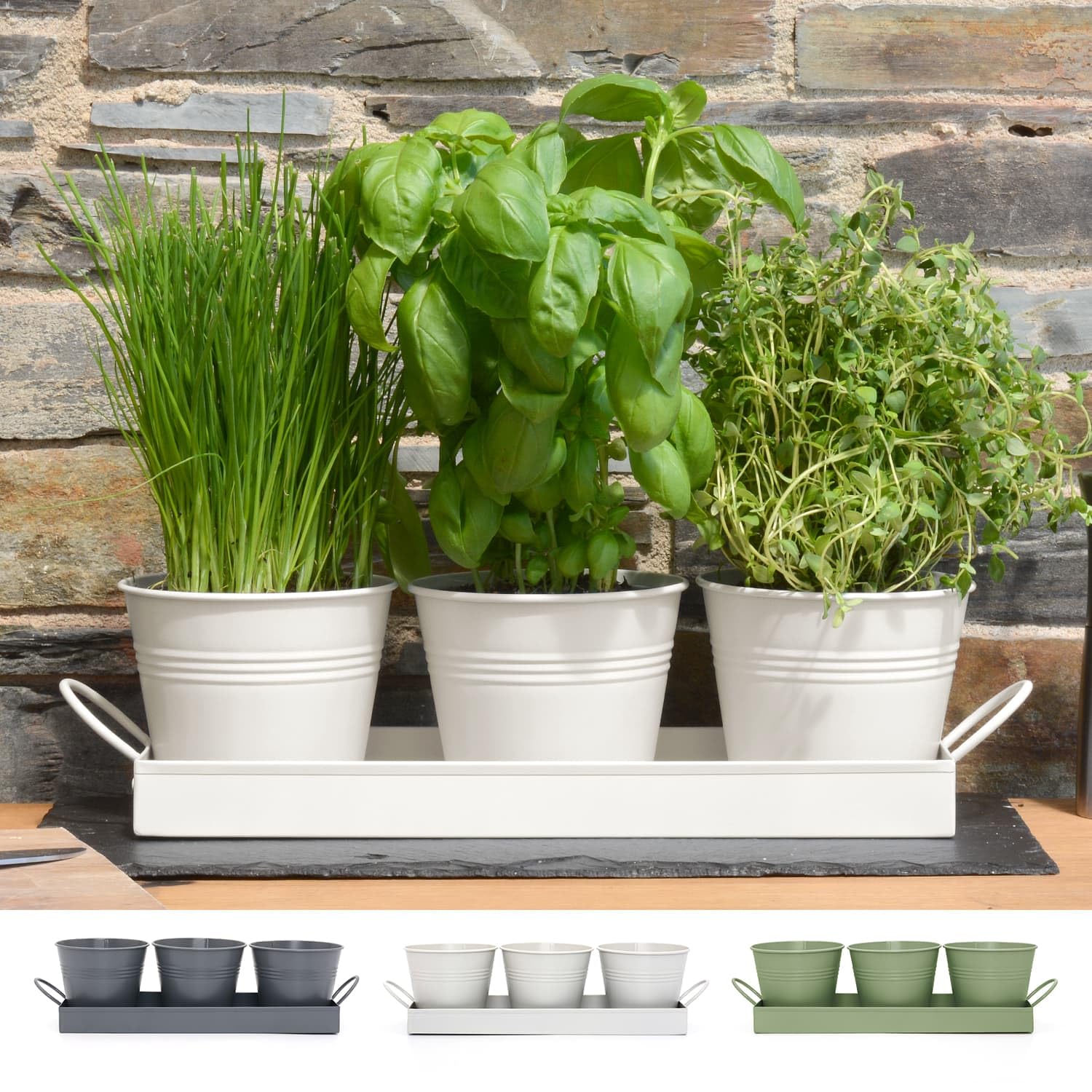 Ckb Ltd Chalk White Set Of 3 Metal Herb Plant Pots With Drip Tray Traditional Indoor Windowsill Coloured Planter Box For The Kitchen Grow Your Own Herbs For Cooking (Chalk White)