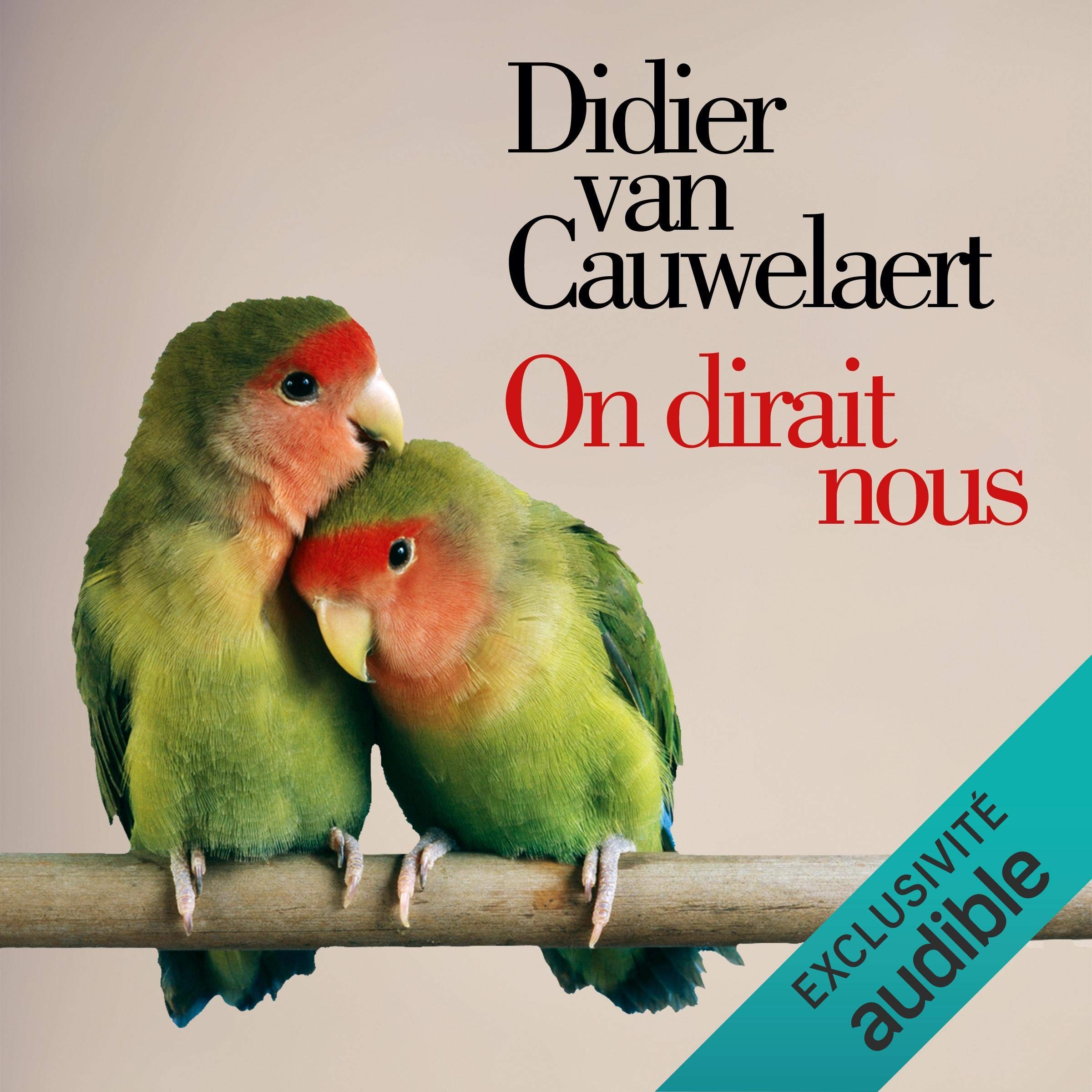 Cover art for On dirait nous