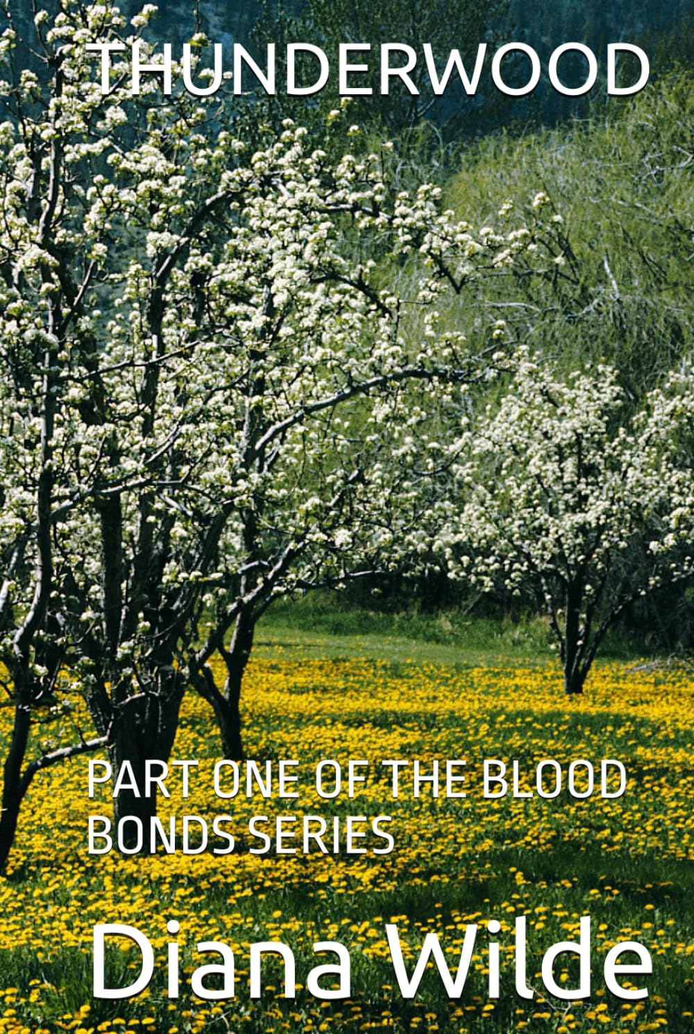 THUNDERWOOD: PART ONE OF THE BLOOD BONDS SERIES