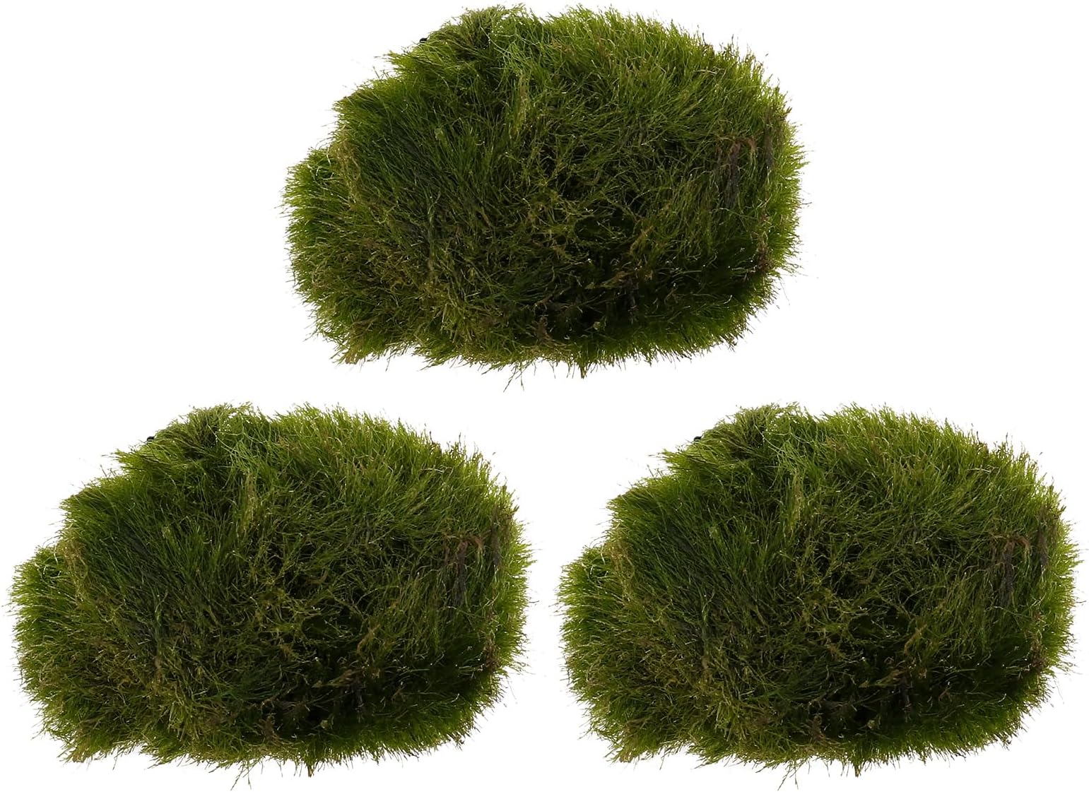 ibasenice Marimo Moss Ball - Aquarium Ball Set,Green Decortive Algae Water Purification Ball Living Plant Aquatic Plant for Aquarium Fish Tank Glass Jar Terrarium Kits(3Pcs)