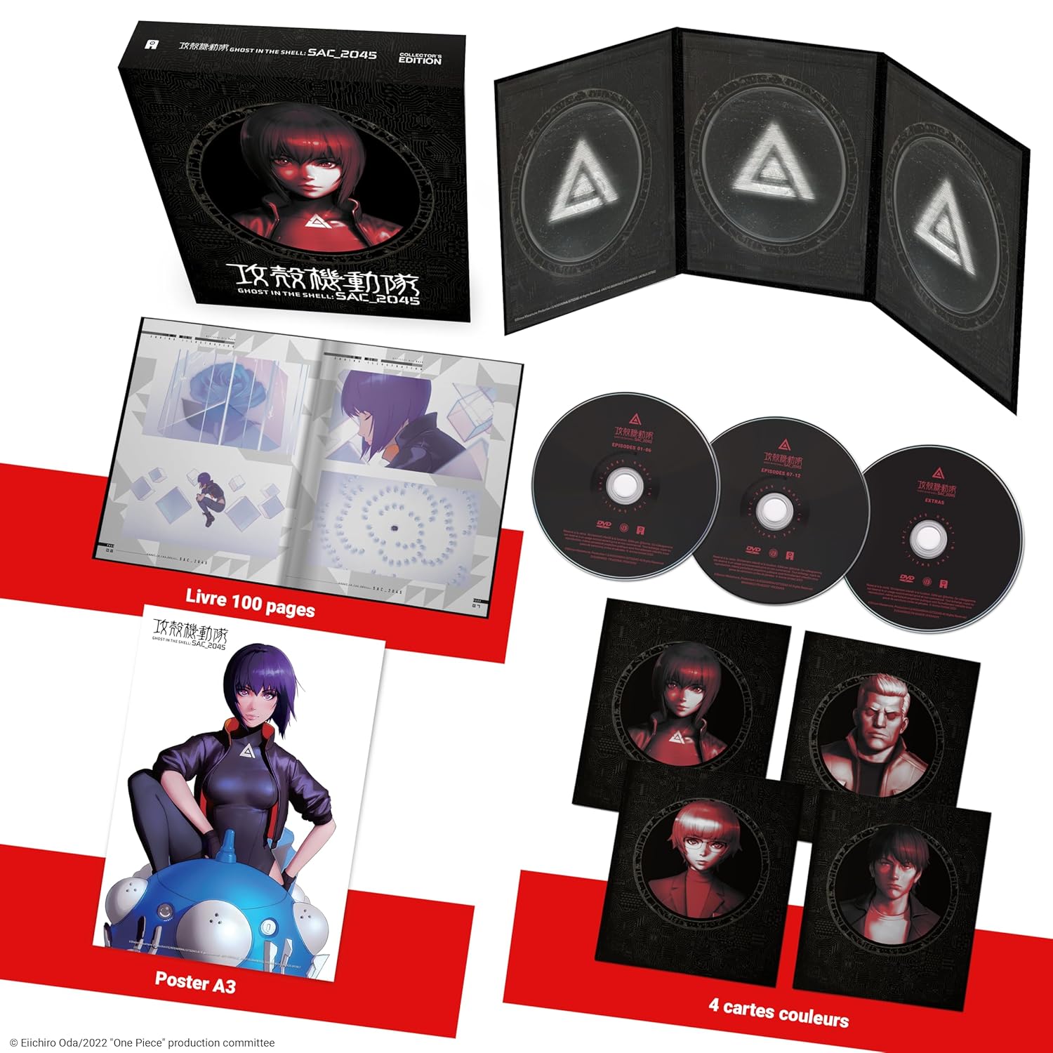Ghost in the shell - stand alone complex 2045 - saison 1 [FR Import]