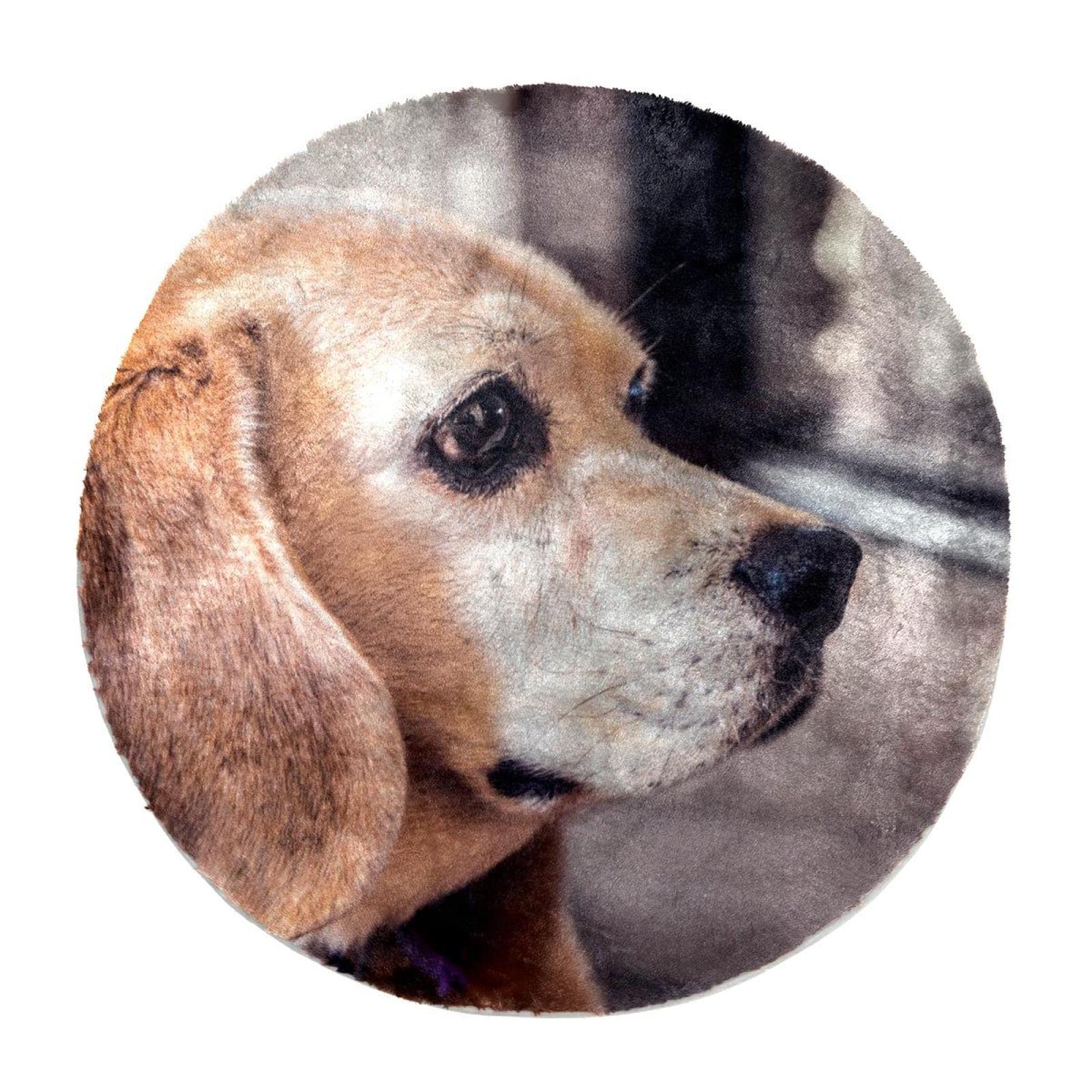 Spersonalizowane puszyste dywaniki pluszowe koło dywan podłogowy mata mały beagle pies zwierzę zwierzę urocze sztuczne futro dywanik