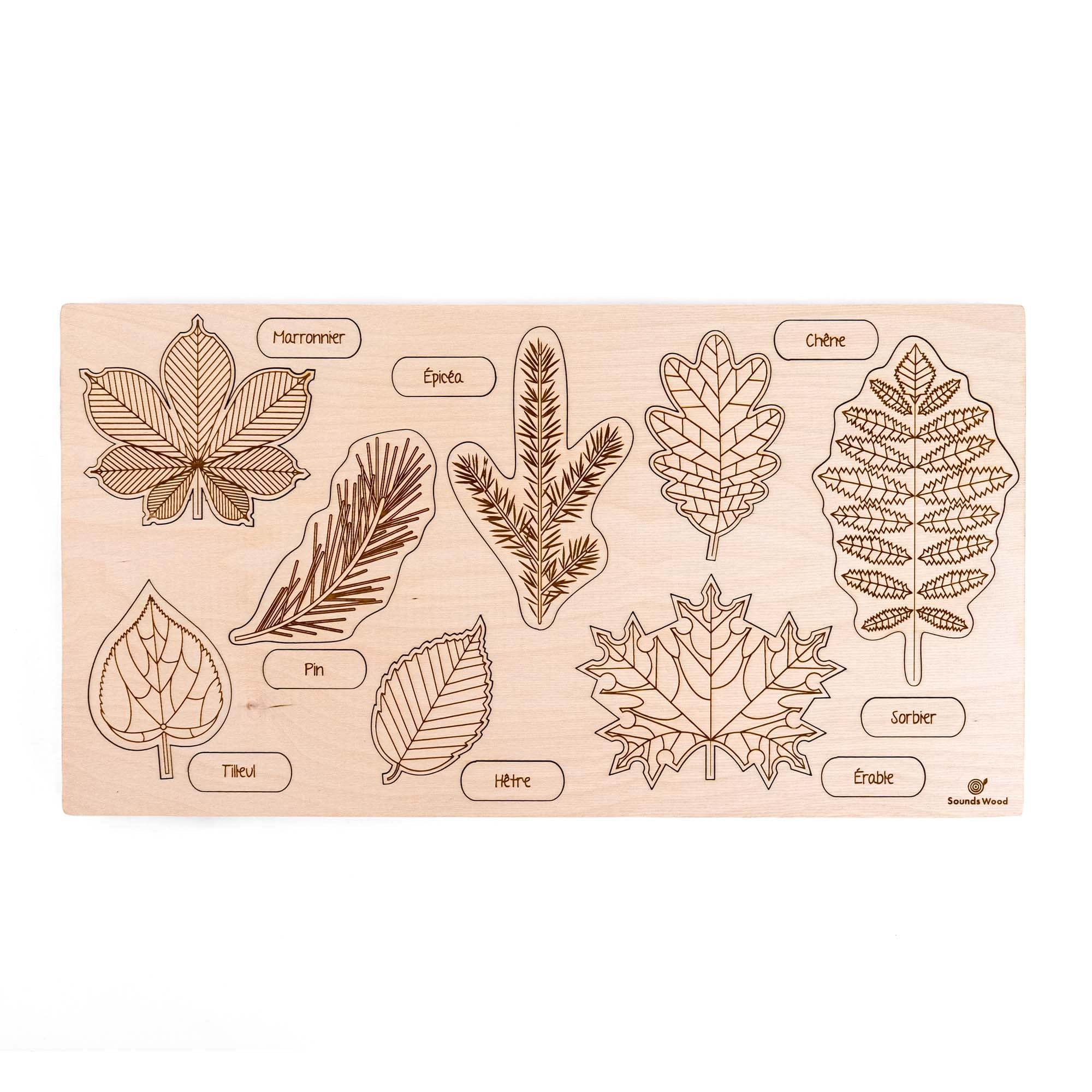 Puzzle éducatif en Bois - Les Feuilles et Fruits des Arbres