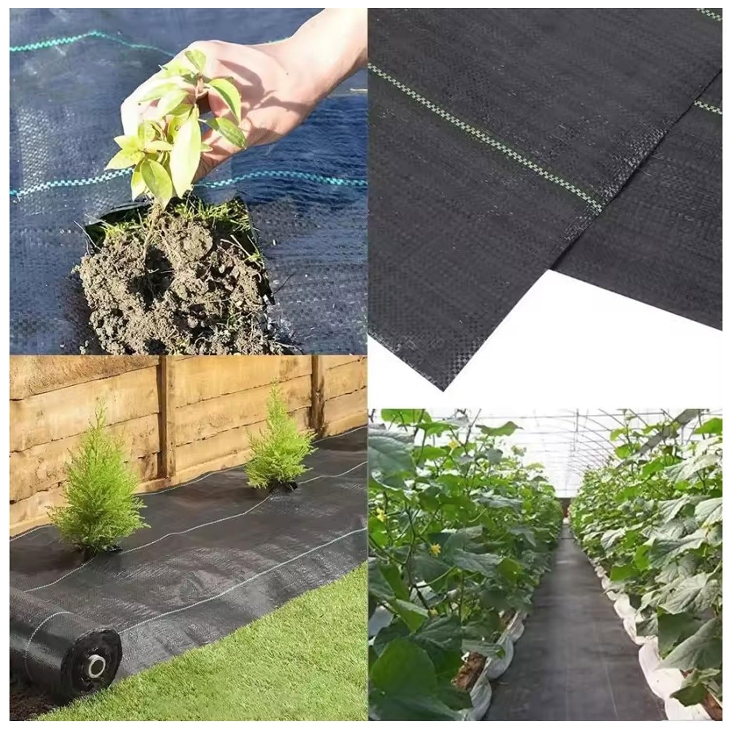 DIWAL Telo Pacciamatura Rotolo Telo Pacciamante Barriera Erbacce Geotessile UV Resistente Copertura Terreno per Giardino, Orto, Terrazze, Vialetti, Aiuole, Esterni, Paesaggistica(1m x 50m)