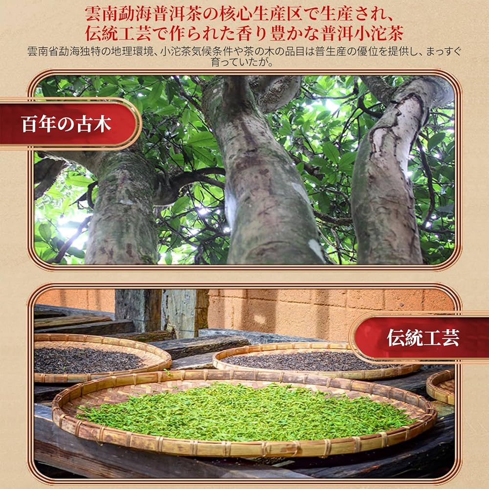 Amazon.co.jp: XIXICHA プーアル茶 小沱茶 （熟茶）300g
