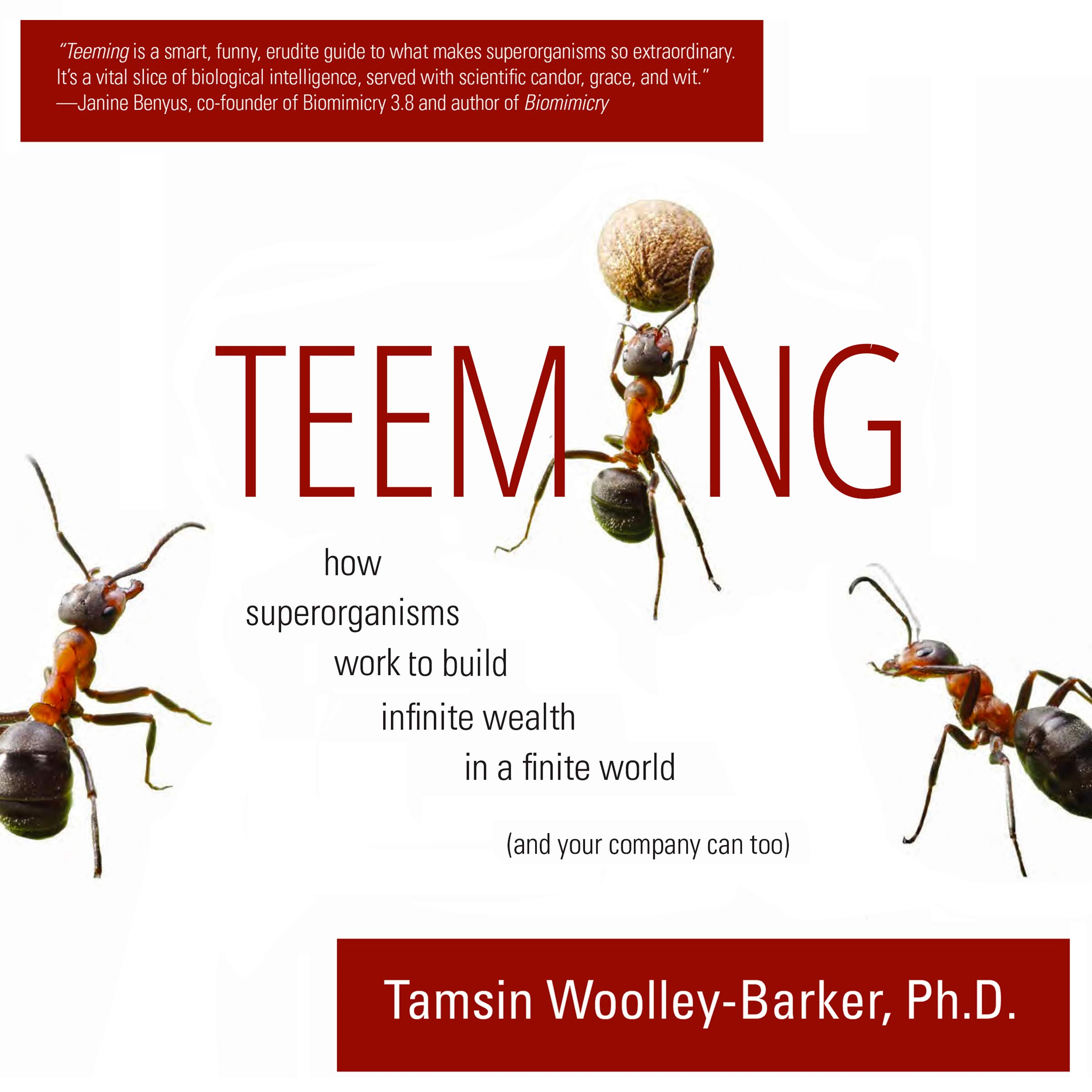 Cover art for Teeming: How Superorganisms Work Together to Build Infinite Wealth on a Finite Planet (and your company can too)