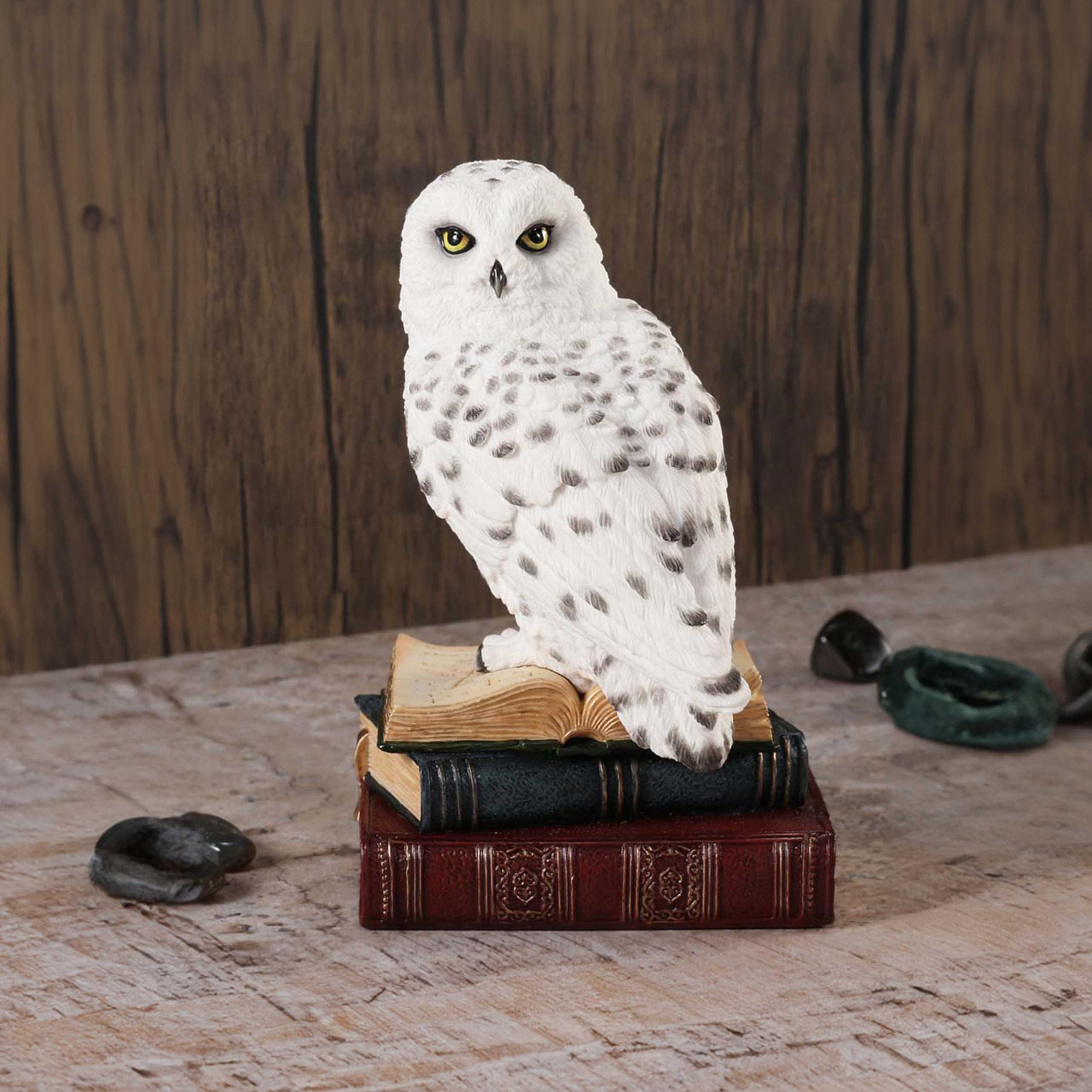 Nemesis Now Statuetta della Biblioteca della saggezza, 17 cm, in resina, bianca, gufo bianco su libri, ornamento per libri fantasy, espositore per libri, colata nella migliore resina, sapientemente