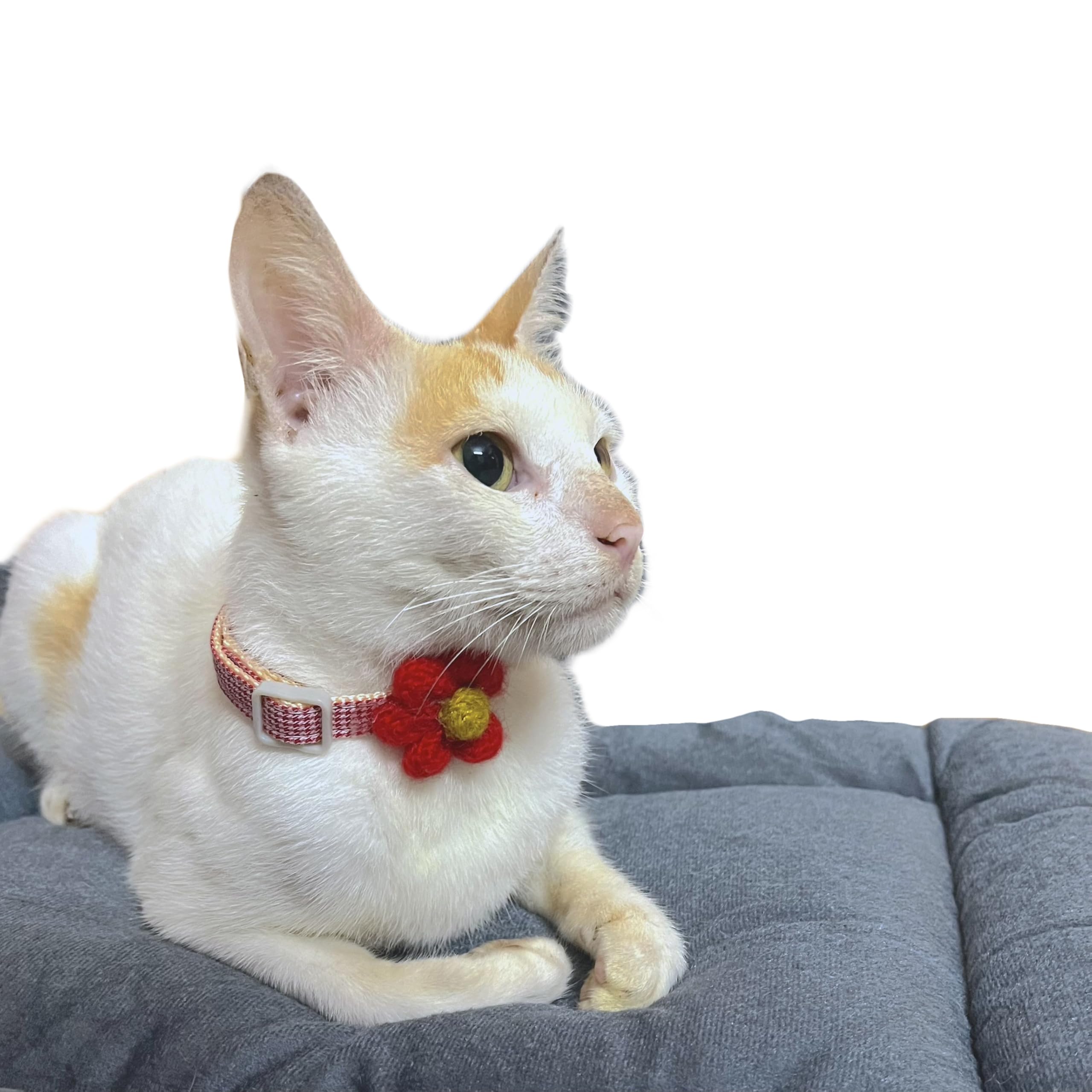 A+a Pets Soft Handmade Cotton Bow Design Everyday Adjustable Cat Collar with Easy Open Safety Buckle for Cats,Kitten,Puppy&Small Animals (Flower-Red),32 Centimeters,1.5 Cm (B0CNYVLXR6) Amazon Price History, Amazon Price Tracker