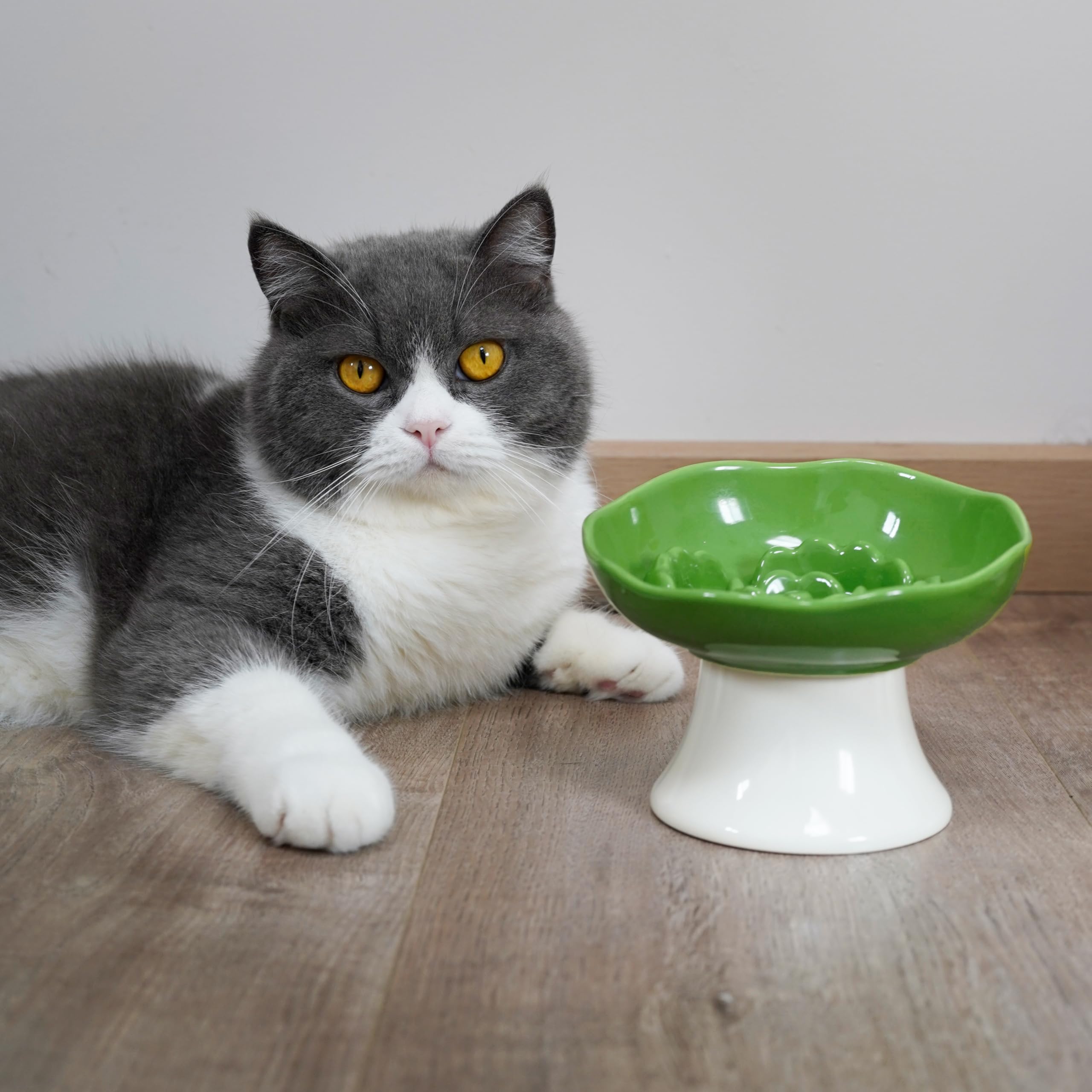 Futternapf aus Keramik für Katzen und kleine Hunde, erhöhter, geneigter Futternapf, Schnurrhaarfreundlich, Anti-Erbrochenes, schwerer, stabiler Boden, spülmaschinenfest, 5 Farboptionen (Blattgrün)