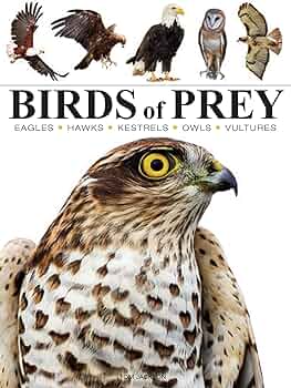 Birds of Prey (Mini Encyclopedia): Jackson, Tom: 9781838863555