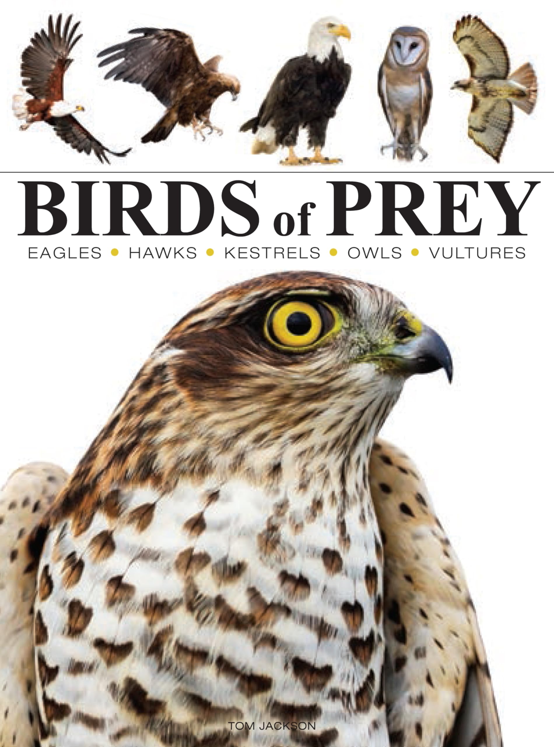 Birds of Prey (Mini Encyclopedias)