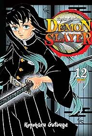 Demon slayer - kimetsu no yaiba vol. 12