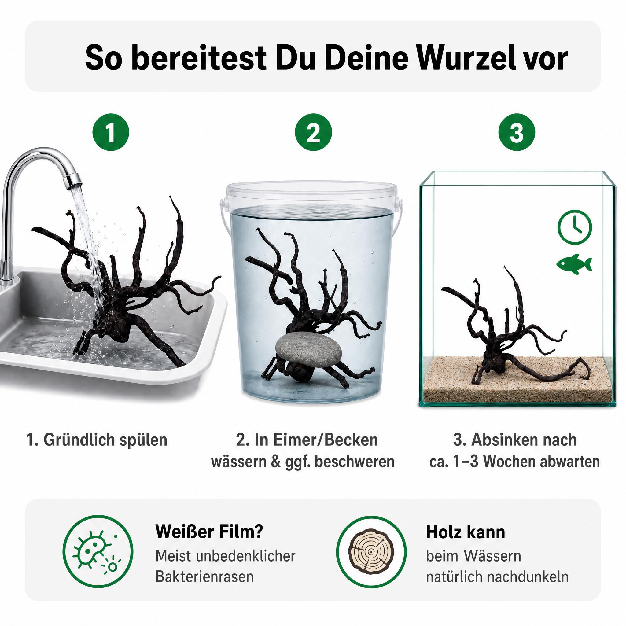 AquaOne Aquarium Wurzel Black Spider L 35–50 cm, Moorkienholz schwarz gefärbt, filigran verzweigt, für Aquascaping & Aufsitzerpflanzen, handverlesenes Unikat für Süßwasseraquarien und Terrarien