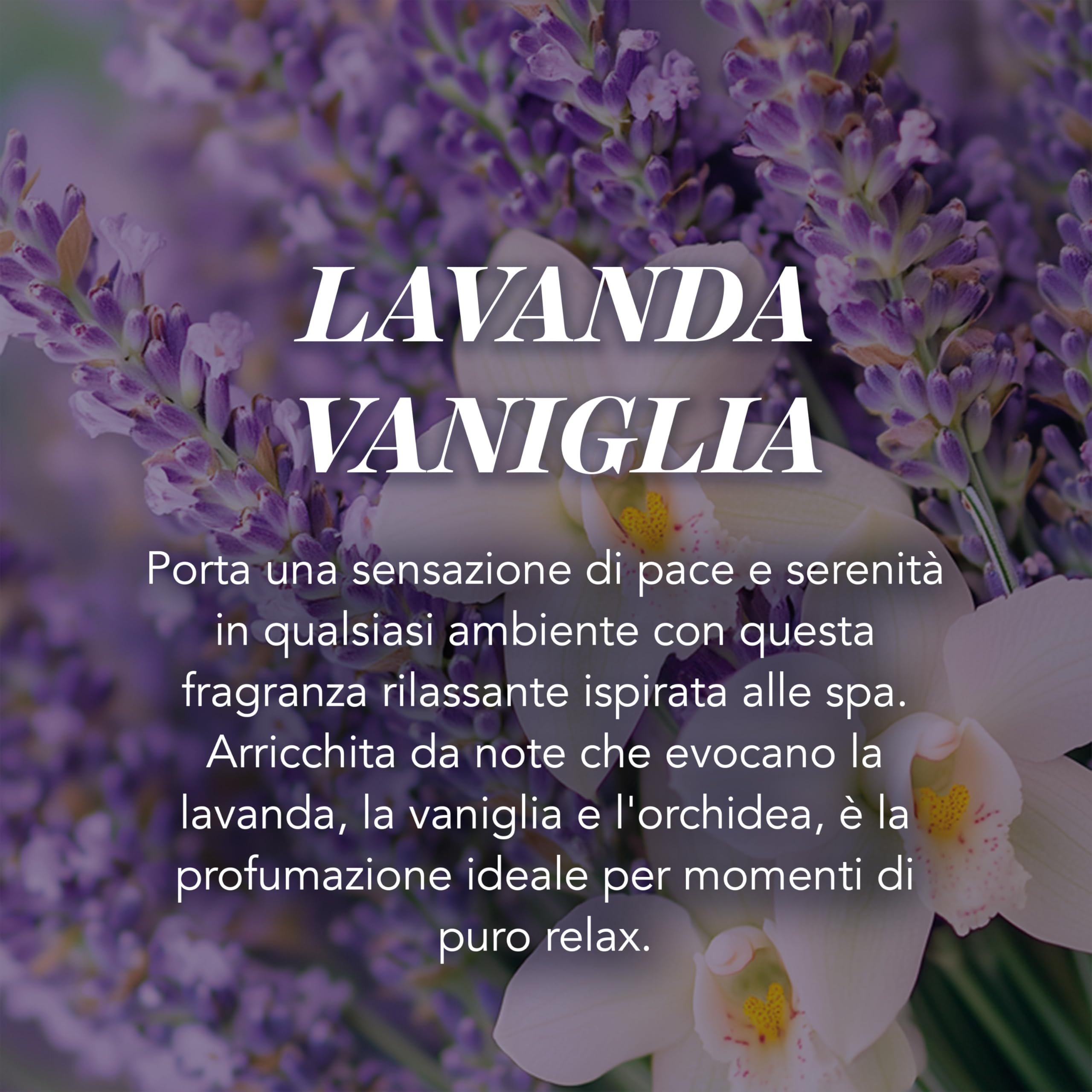 Yankee Candle Candela profumata in giara grande, Lavender Vanilla, Durata Fino a 150 Ore, Regali ottimi per le donne