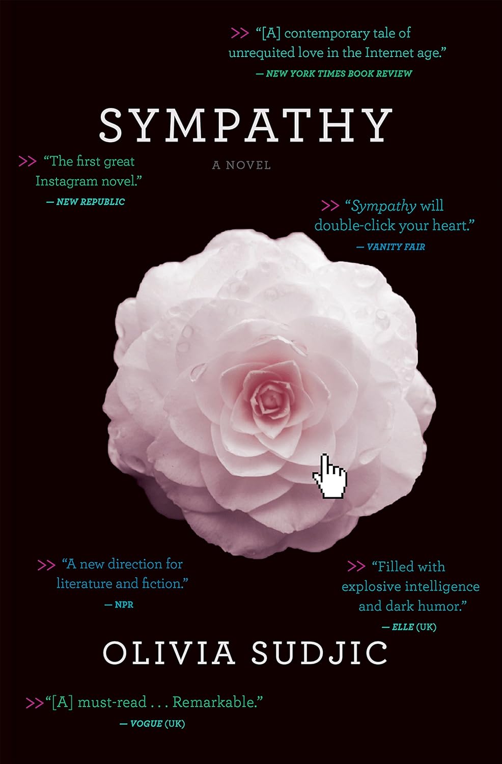 Sympathy: A Dark Literary Thriller of Digital Age Obsession and Online Identity      Kindle Edition