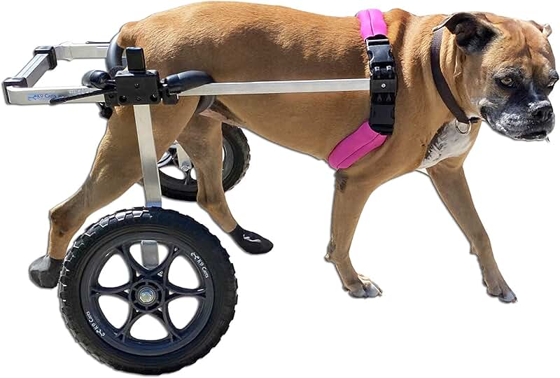 dog wheelchair for back legs