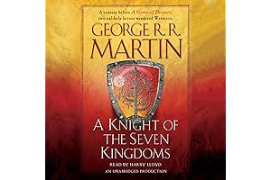 A Knight of the Seven Kingdoms: A Song of Harry Styles on Radio