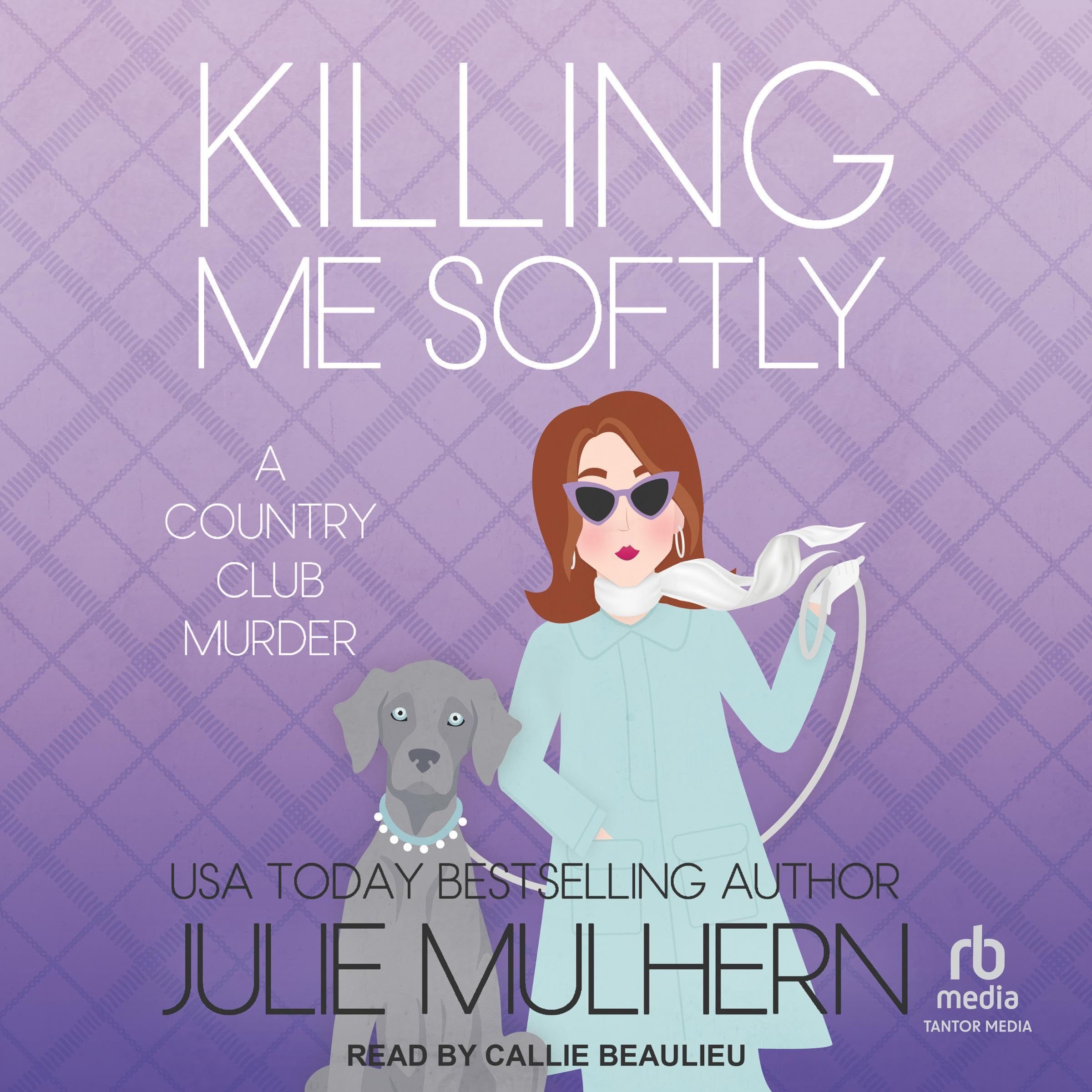 Cover art for Killing Me Softly
