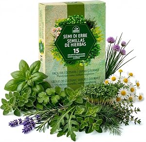 Nojus – Semillas de hierbas 15 variedades – Planta, semillas de
