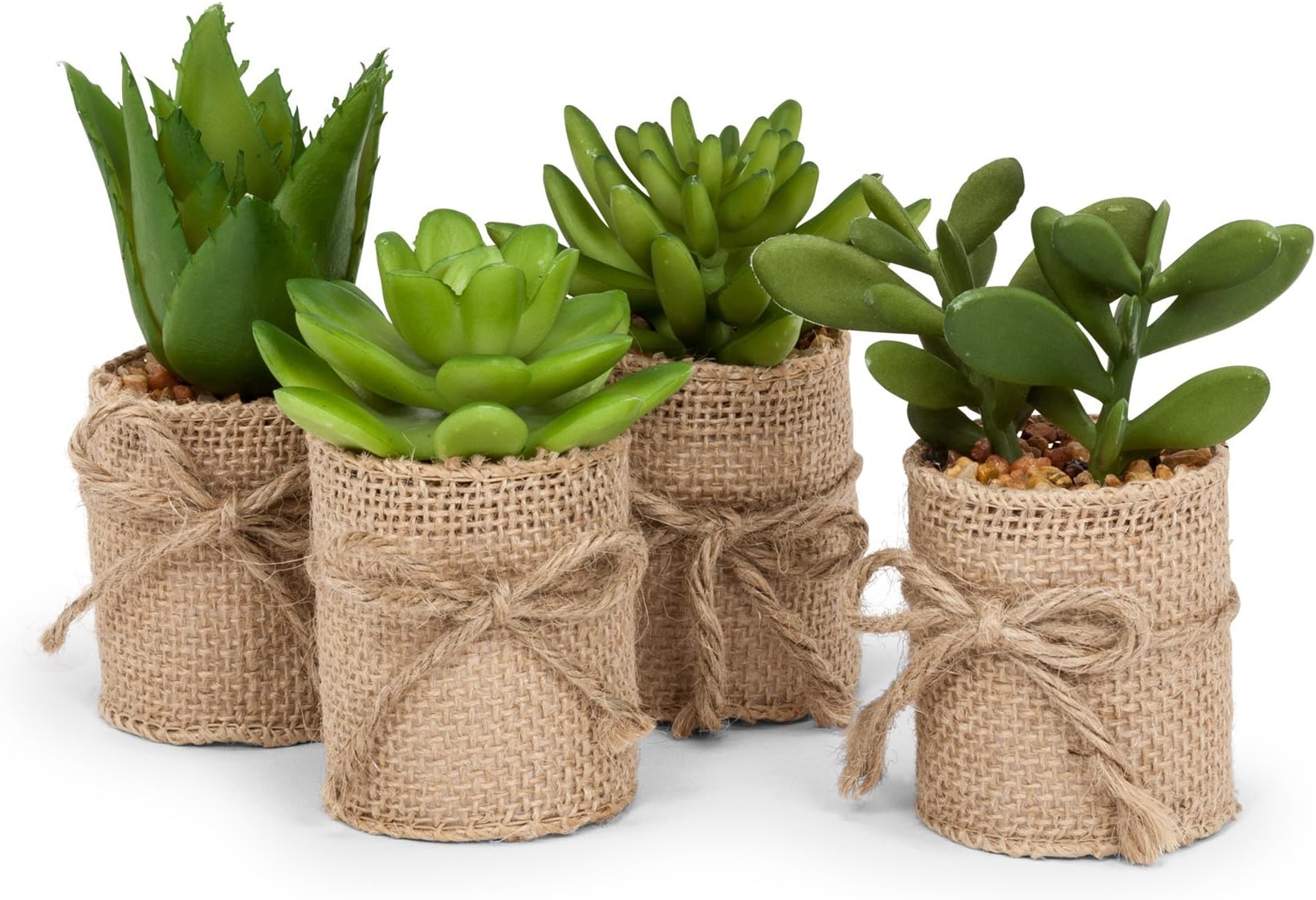 Set of Artificial Succulents