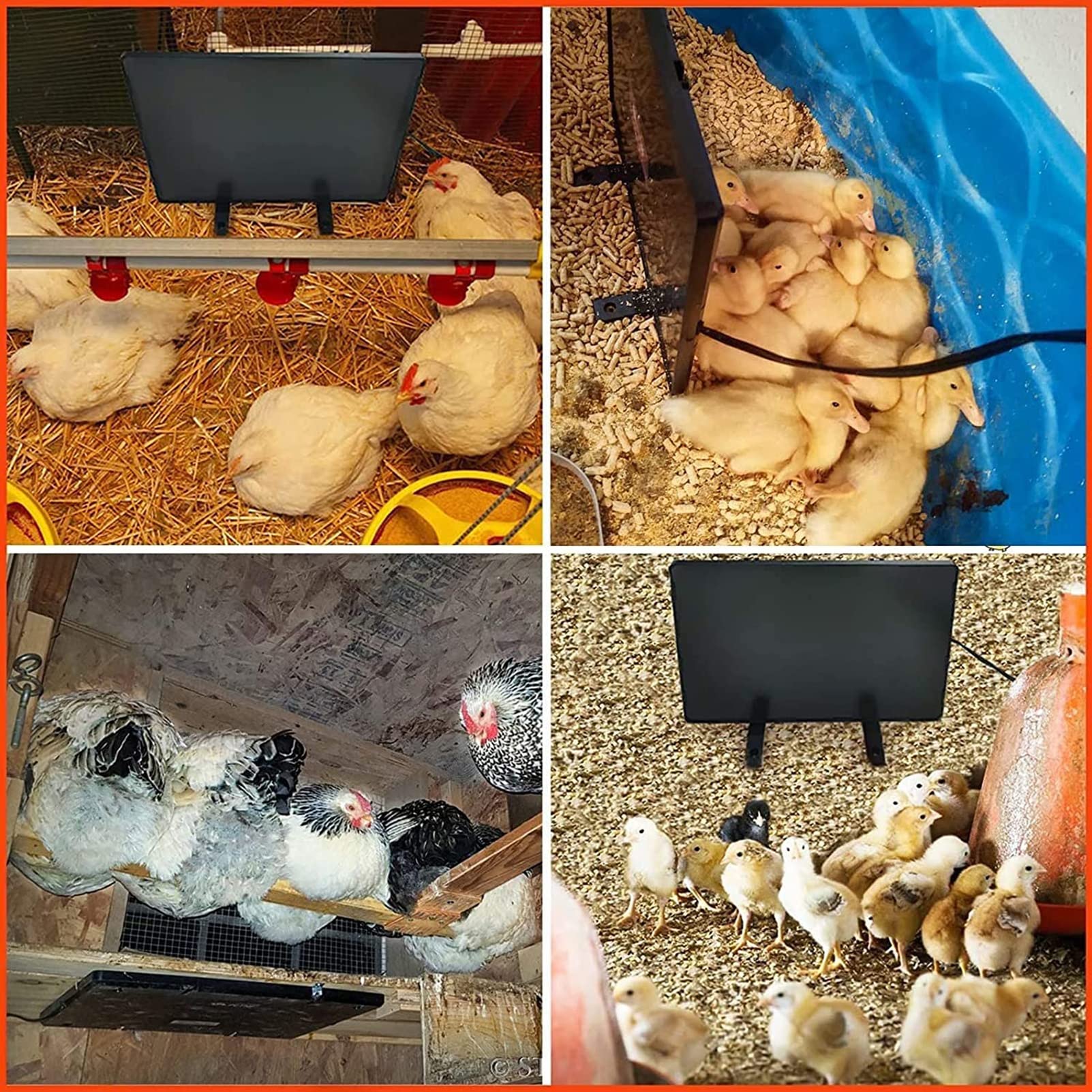 Calentador De Gallinero, Placa De Calentamiento De Gallinero De 140 W con Termostato 122-167 °F, Temperatura Ajustable, para Pollitos, Patitos, Codorniz, Ganso, 11.3 X 15.74 Pulgadas