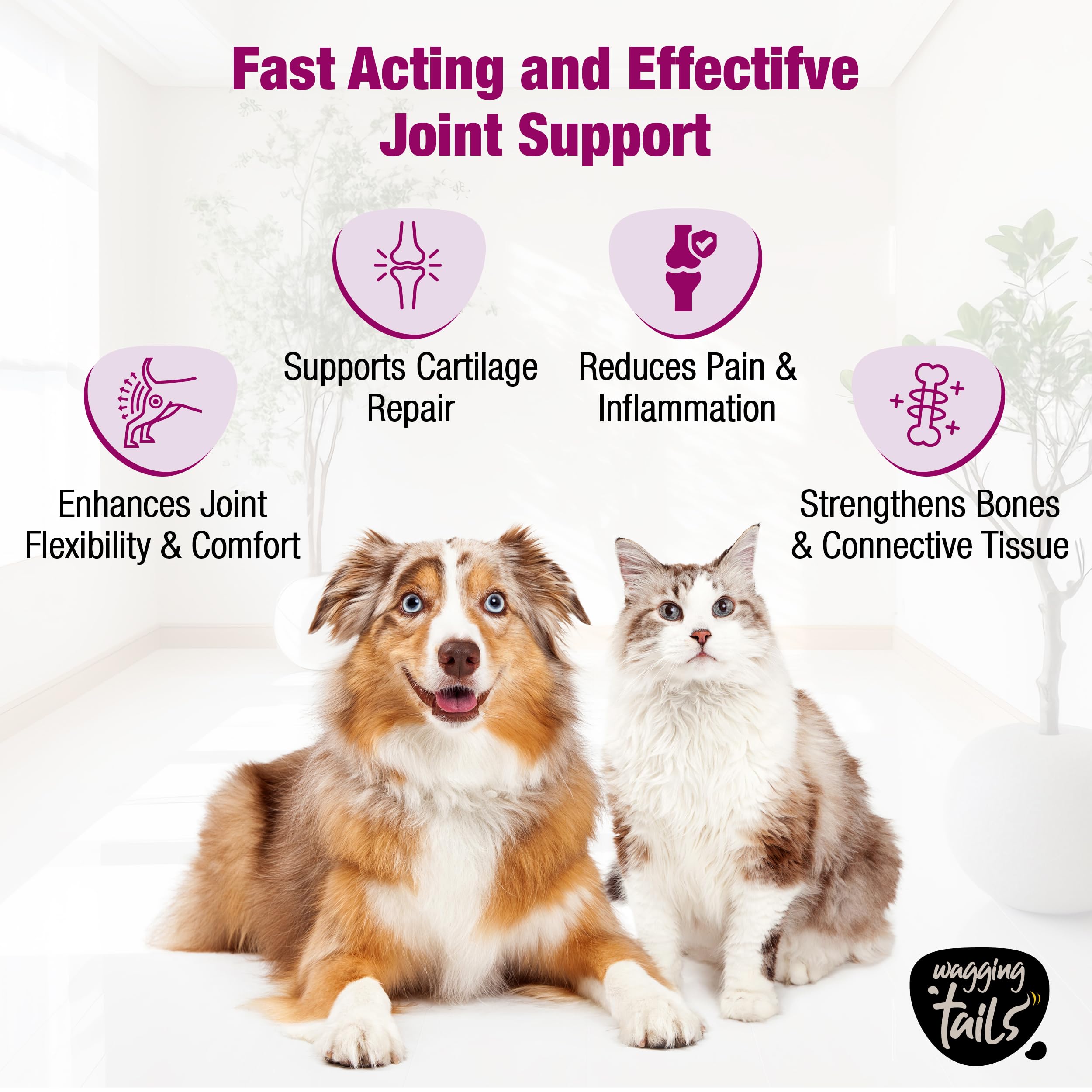Wagging Tails Bone & Joint Collagen for Dogs & Cats|Best Hip & Joint Supplement for Mobility & Pain Relief|Hydrolyzed Collagen Glucosamine & MSM|All Breeds|Unflavoured Powder 200g 3