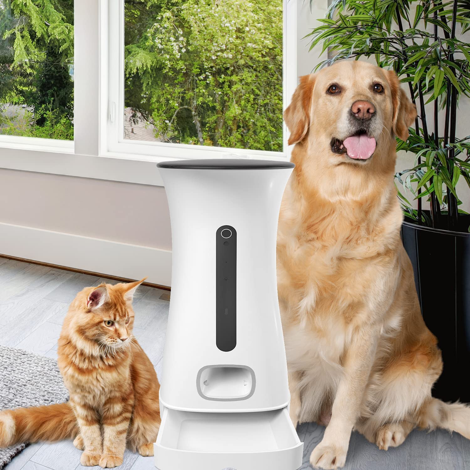 Daewoo NUTRIVISION501C - Dispensador de croquetas automático con cámara para Gatos y Perros | WiFi, Control de la aplicación | Capacidad 7,5L