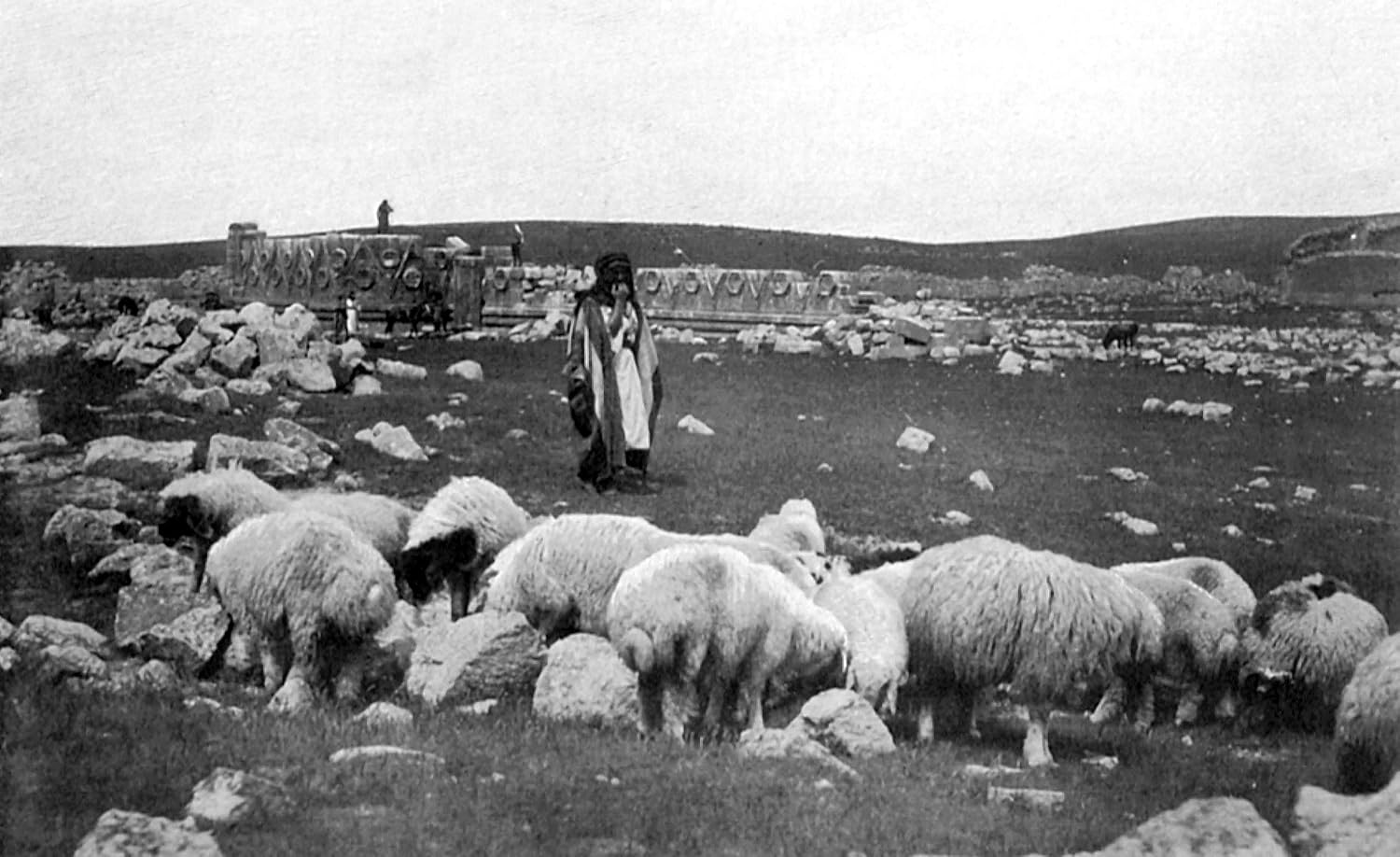 The Desert and the Sown: Travels in Palestine and Syria      Paperback – Illustrated, September 27, 2008
