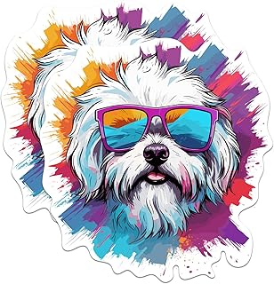 (2 Pack) Maltese Dog Magnets - Maltese with Sunglasses - Choose FromOver 100 Dog Breeds - 5" On Longest Side - Premium Magnet - Made in USA - MAG0369